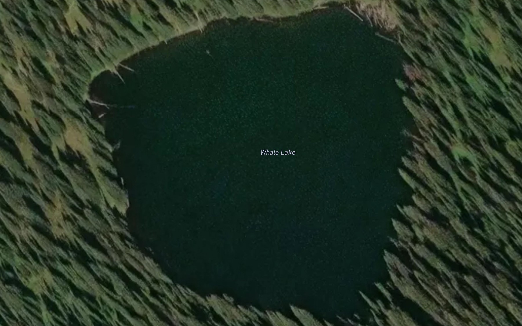 Satellite map of the Whale Lake