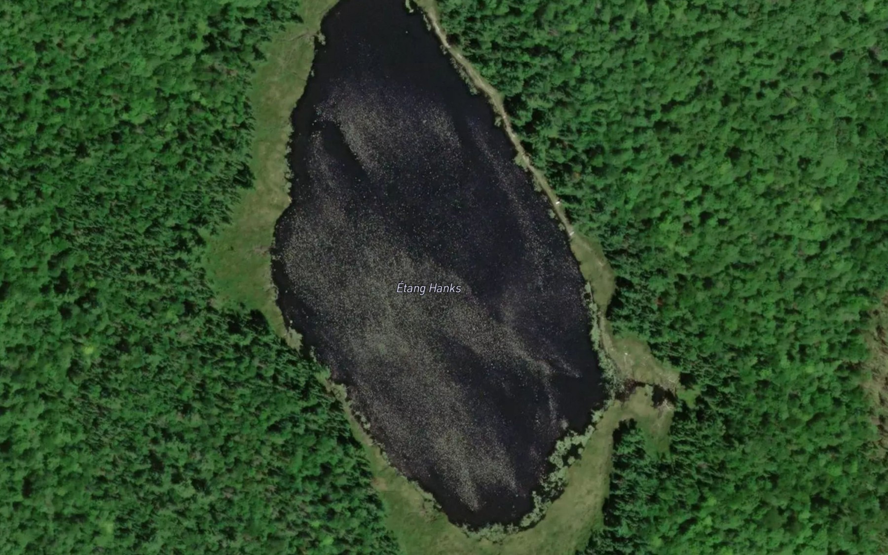 Satellite map of the Etang Hanks