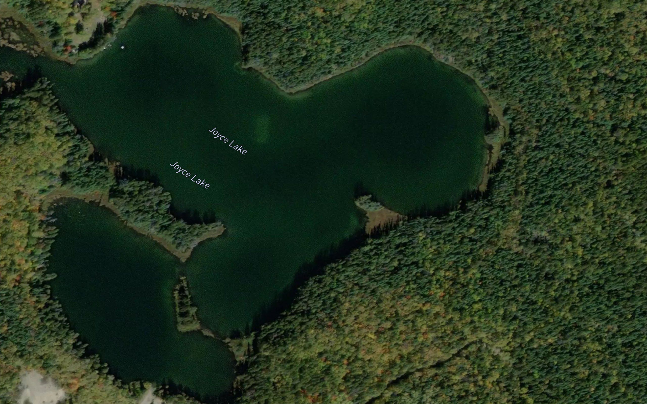 Joyce Lake