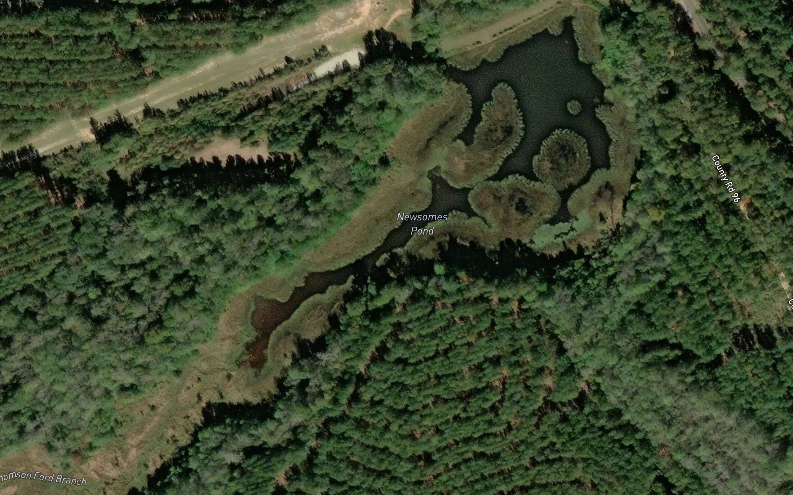 Newsomes Pond