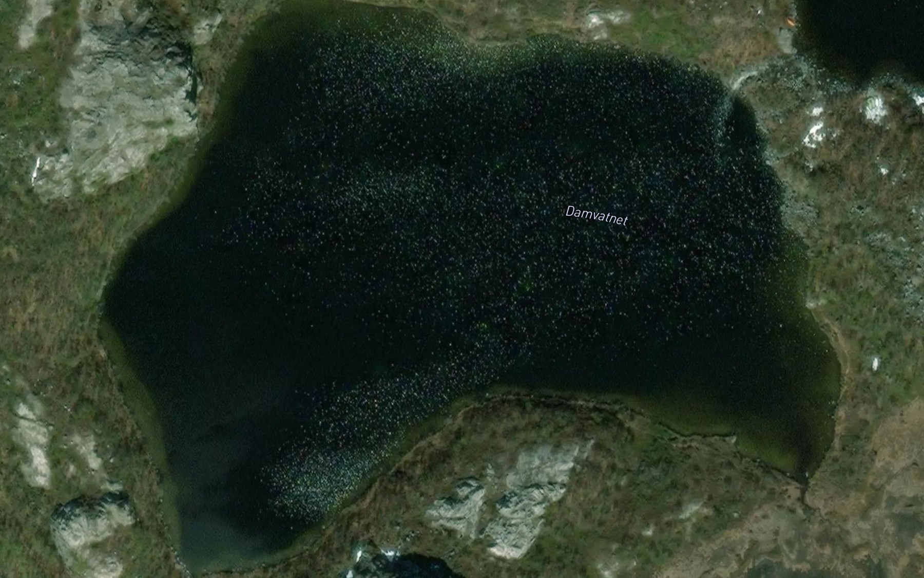 Satellite map of the Damvatnet