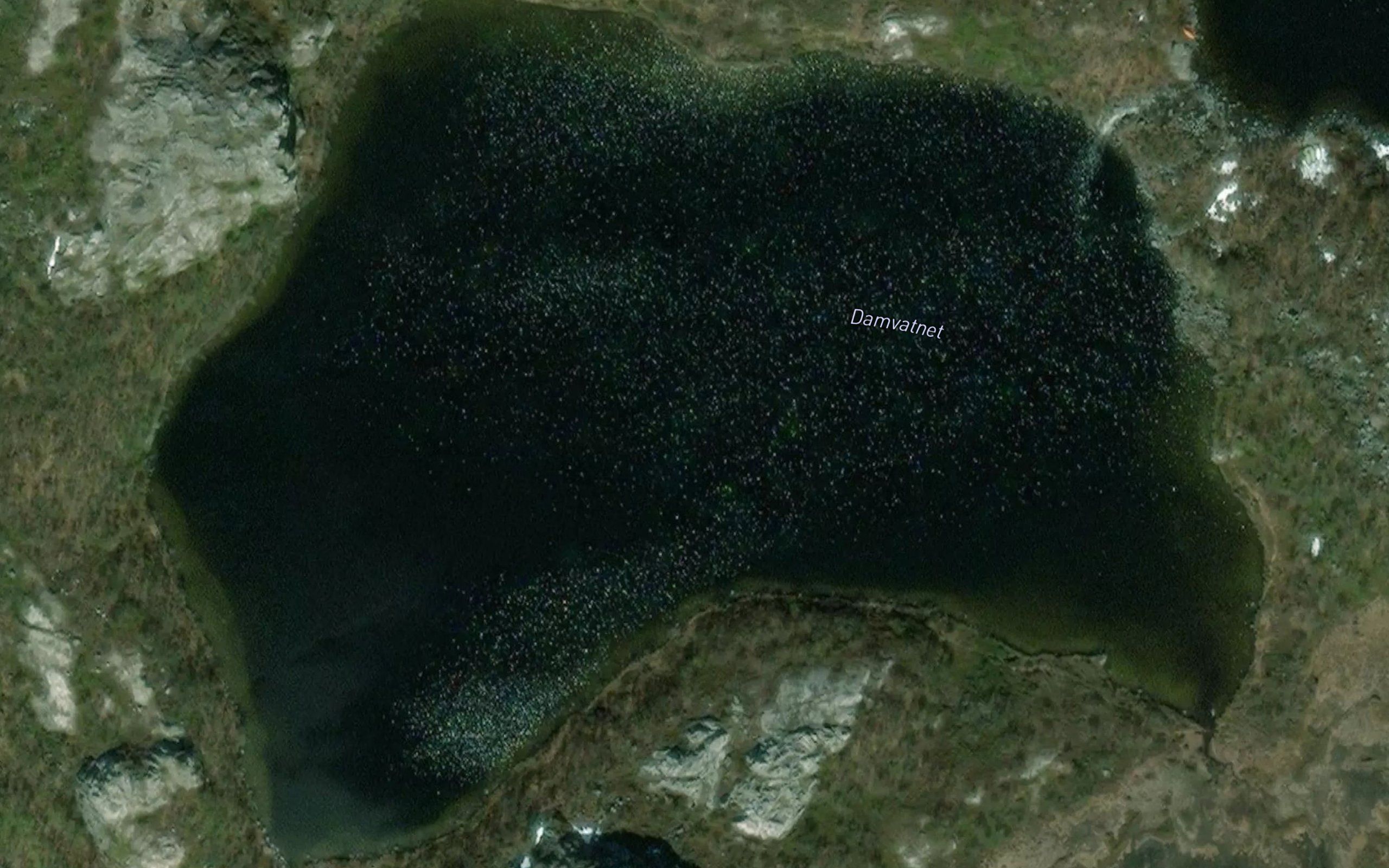 Damvatnet