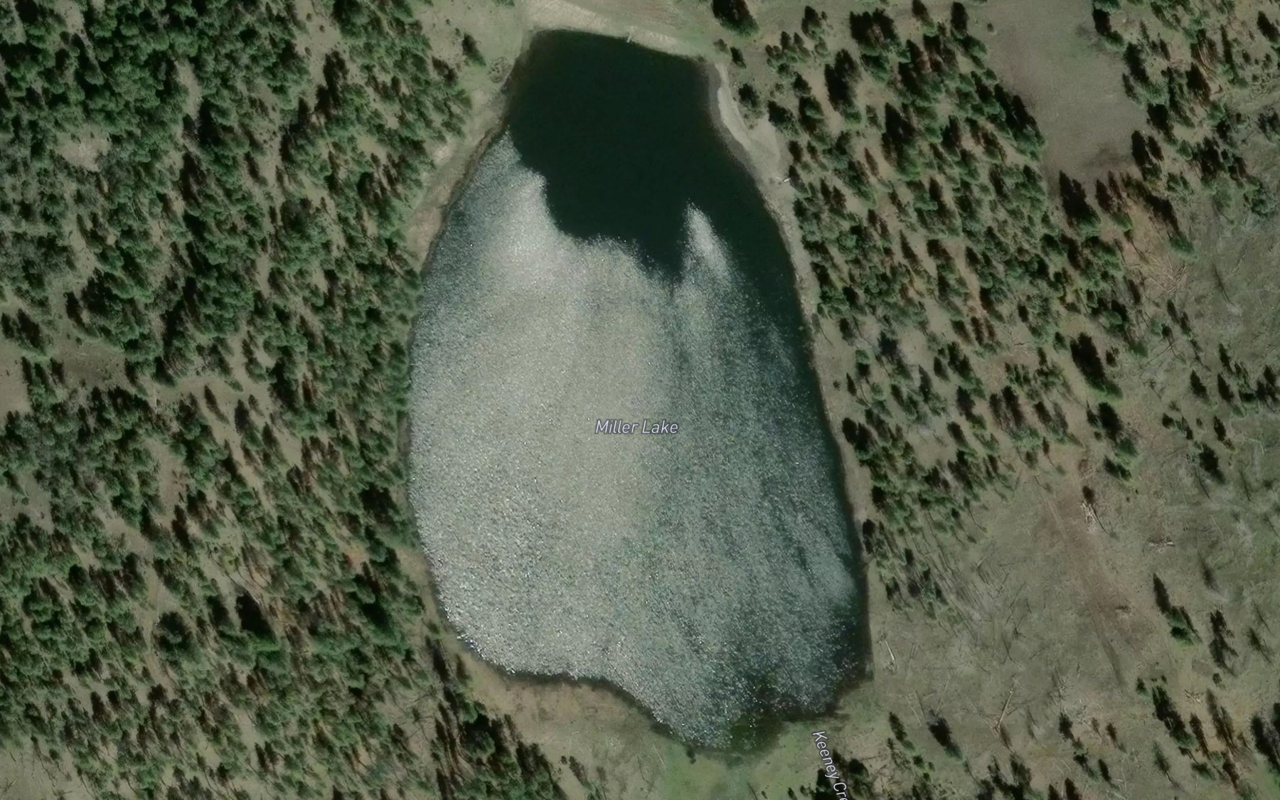 Satellite map of the Miller Lake