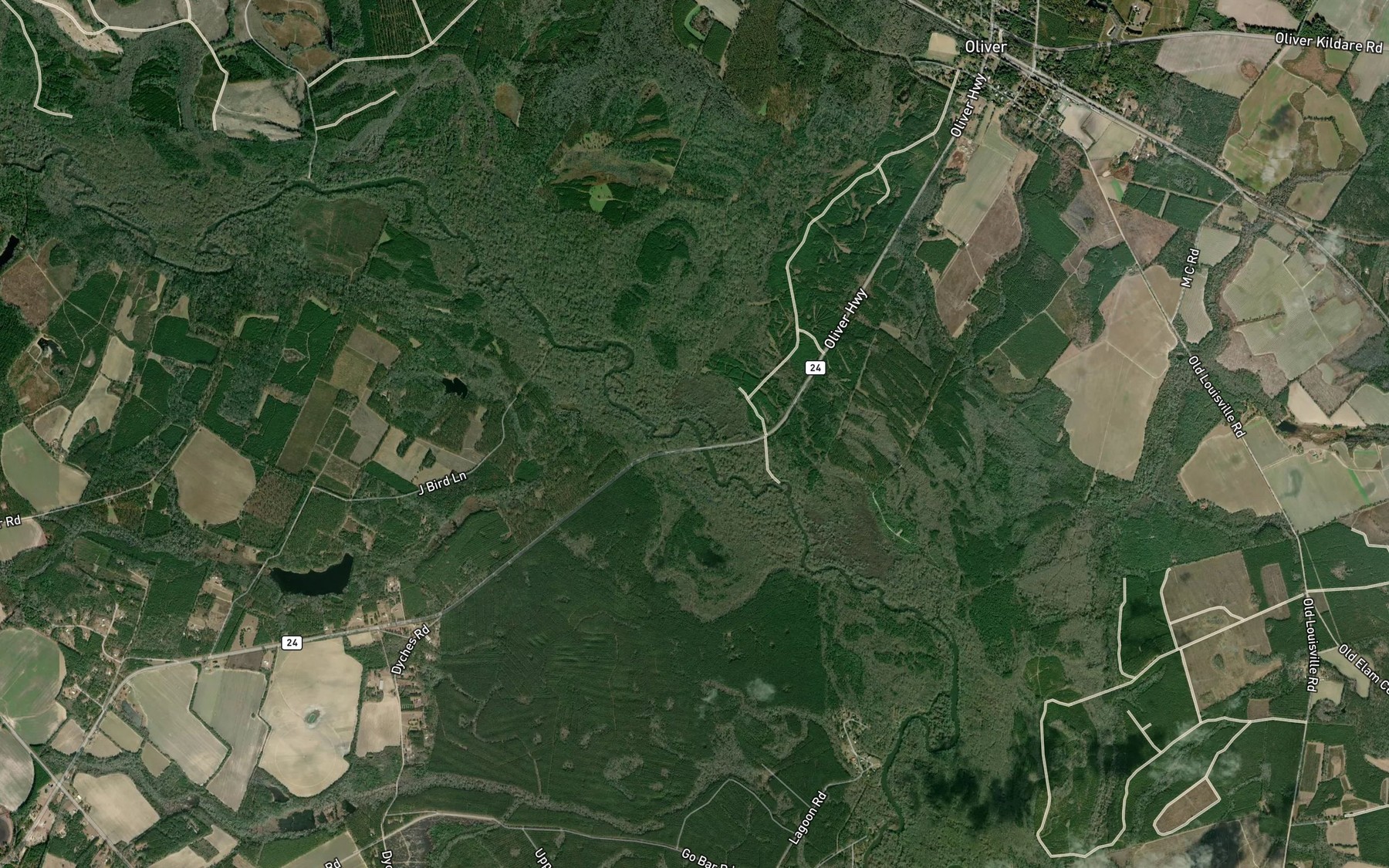 Satellite map of the Ogeechee Creek