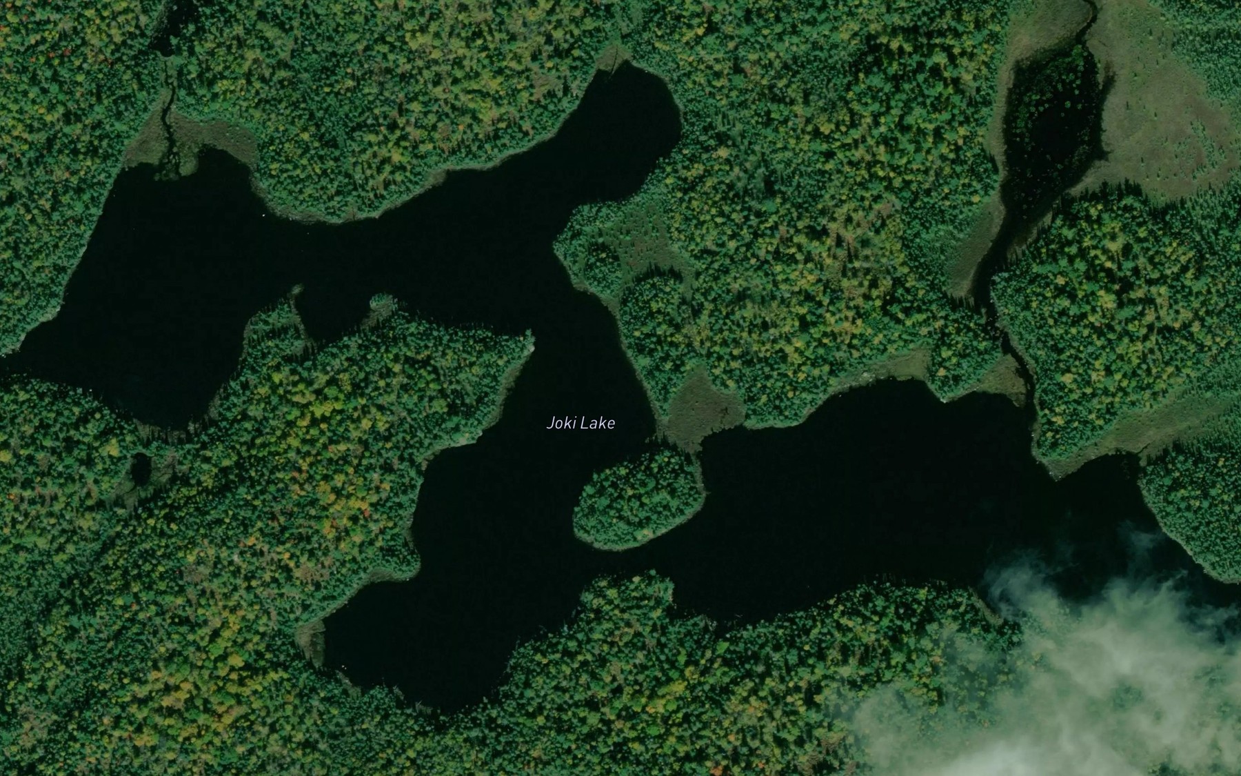 Satellite map of the Joki Lake