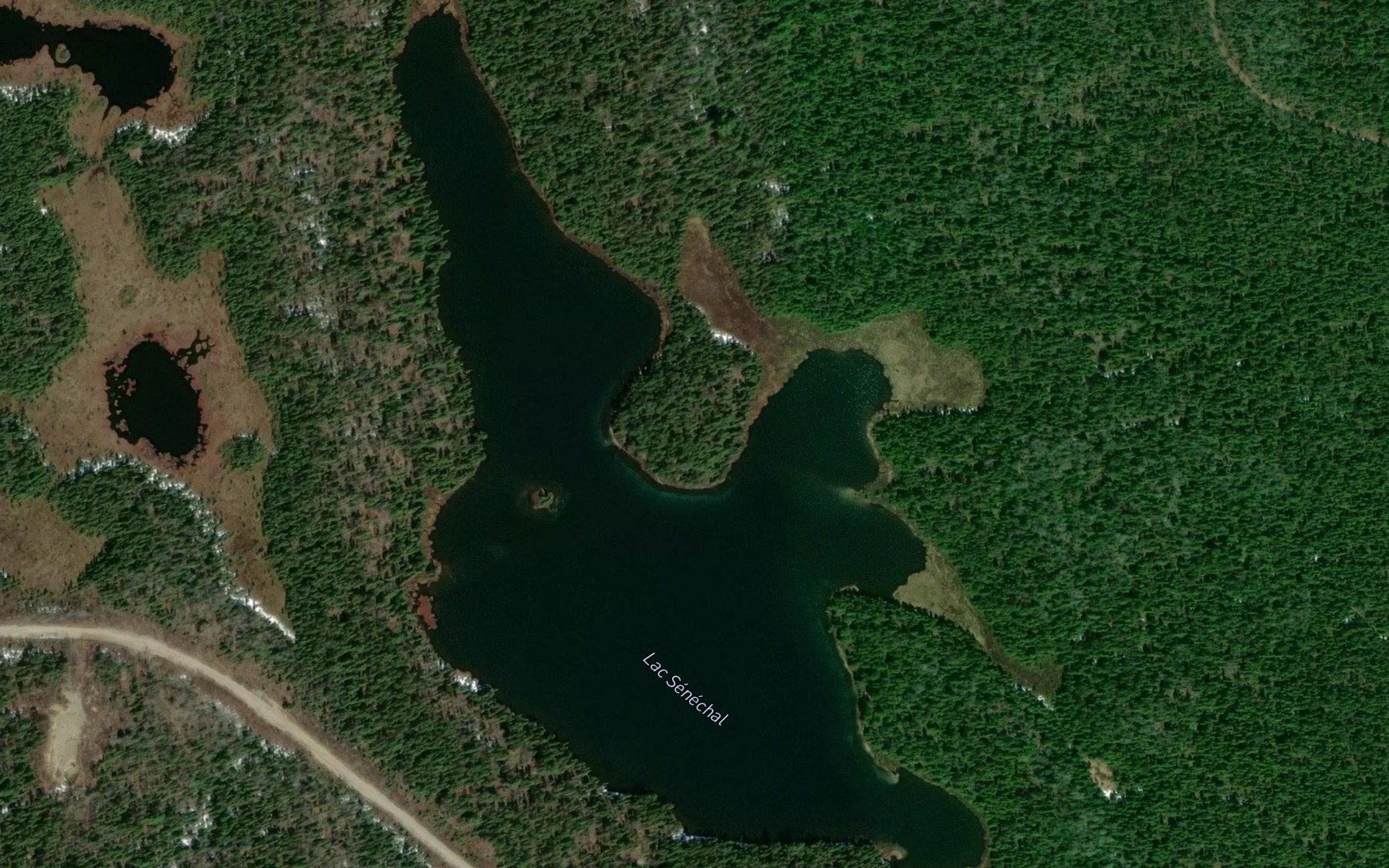 Satellite map of the Lac Senechal