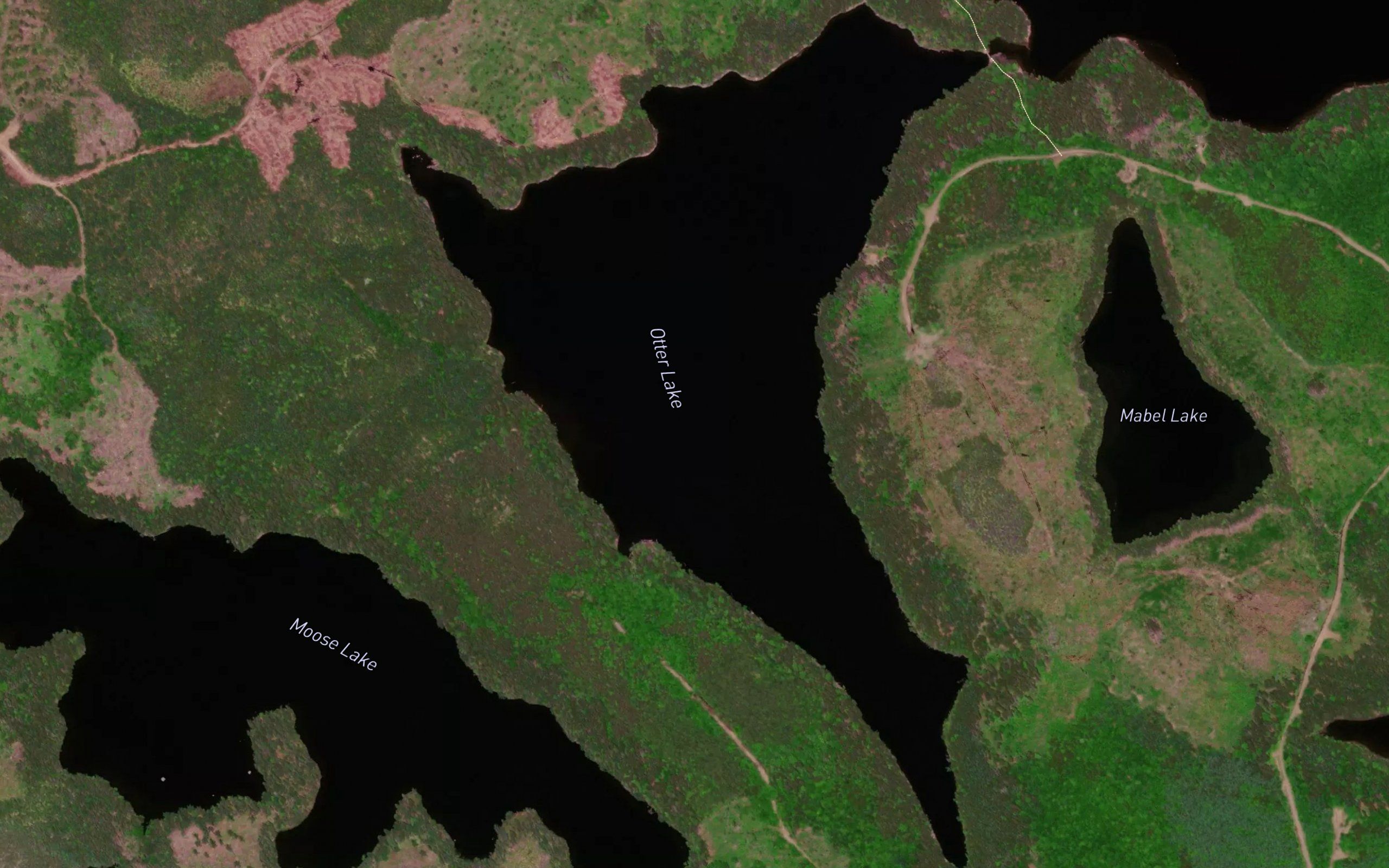 Otter Lake