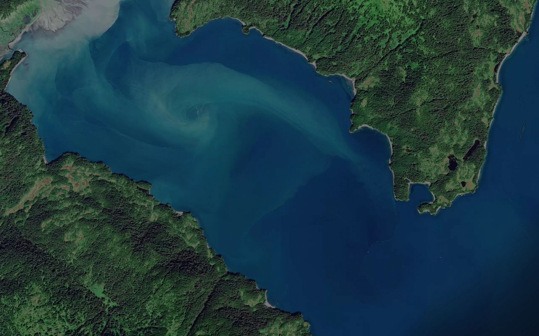 Satellite map of the Pigot Bay