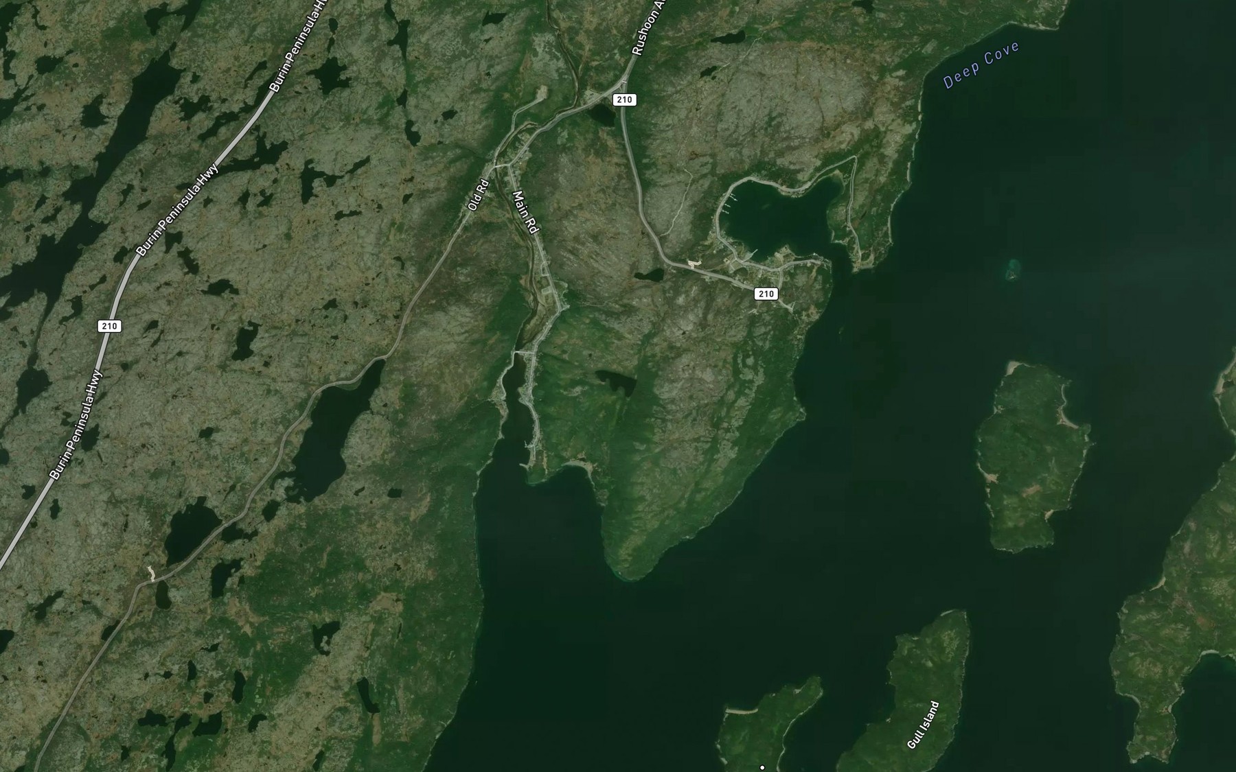 Satellite map of the Jigging Cove Pond