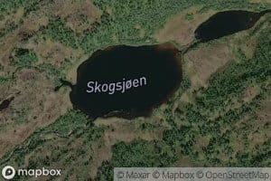 Skogsjoen