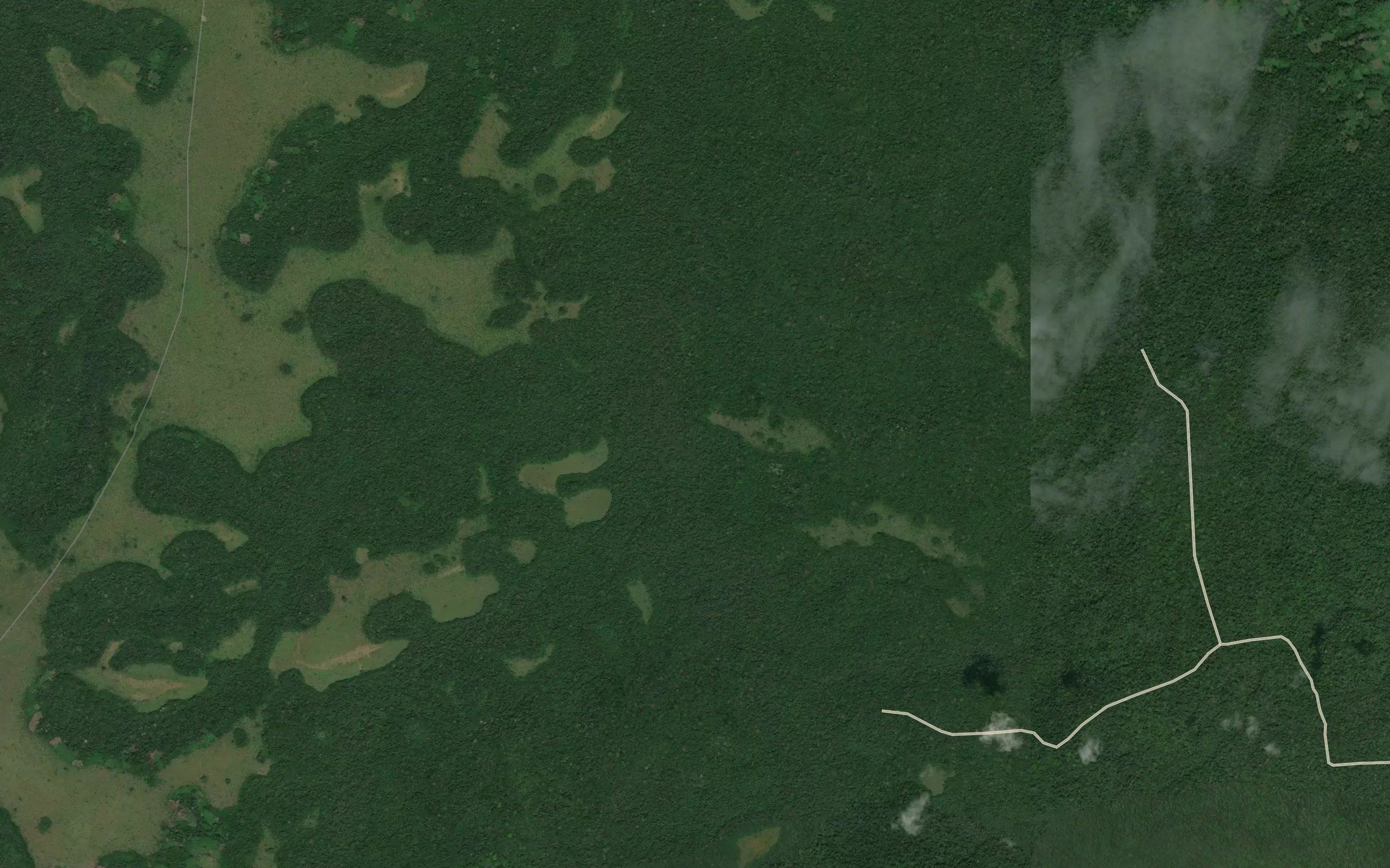 Matanga