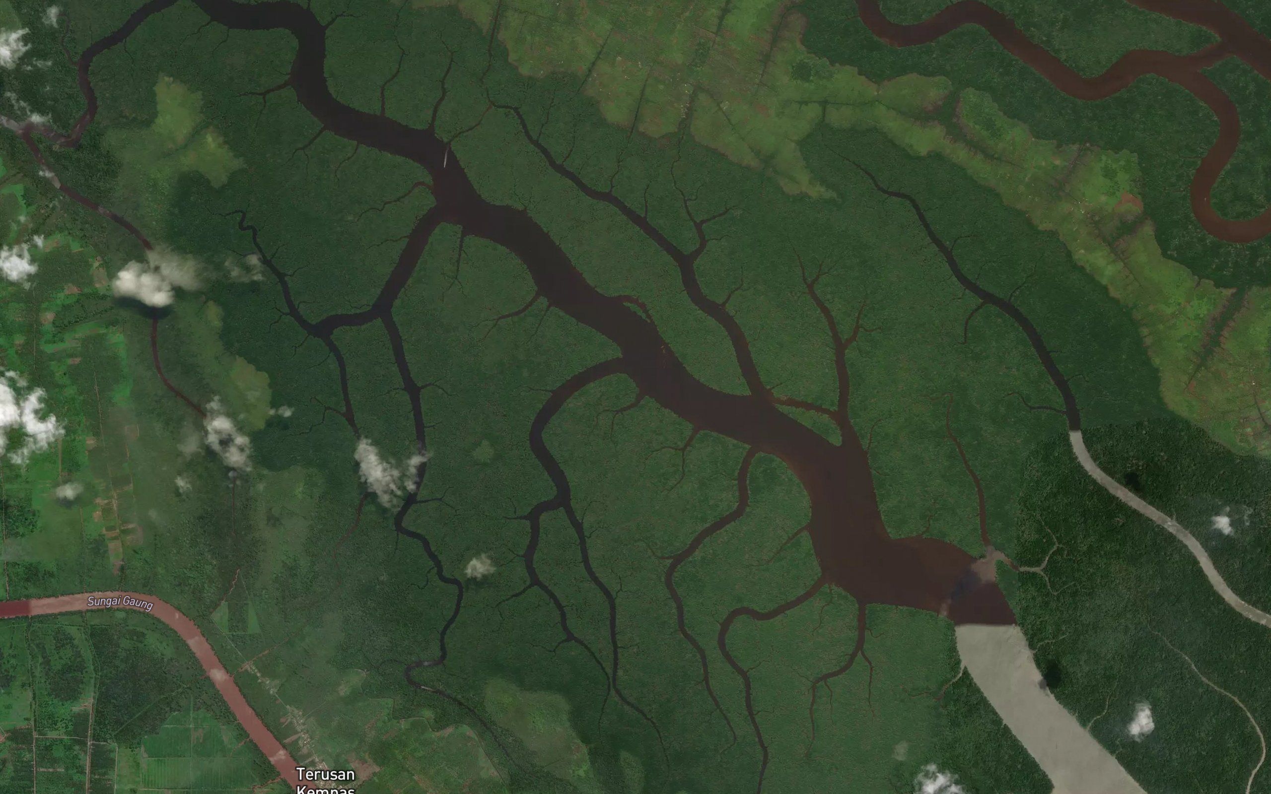 Sungai Anak Kulit Kerang Tengah