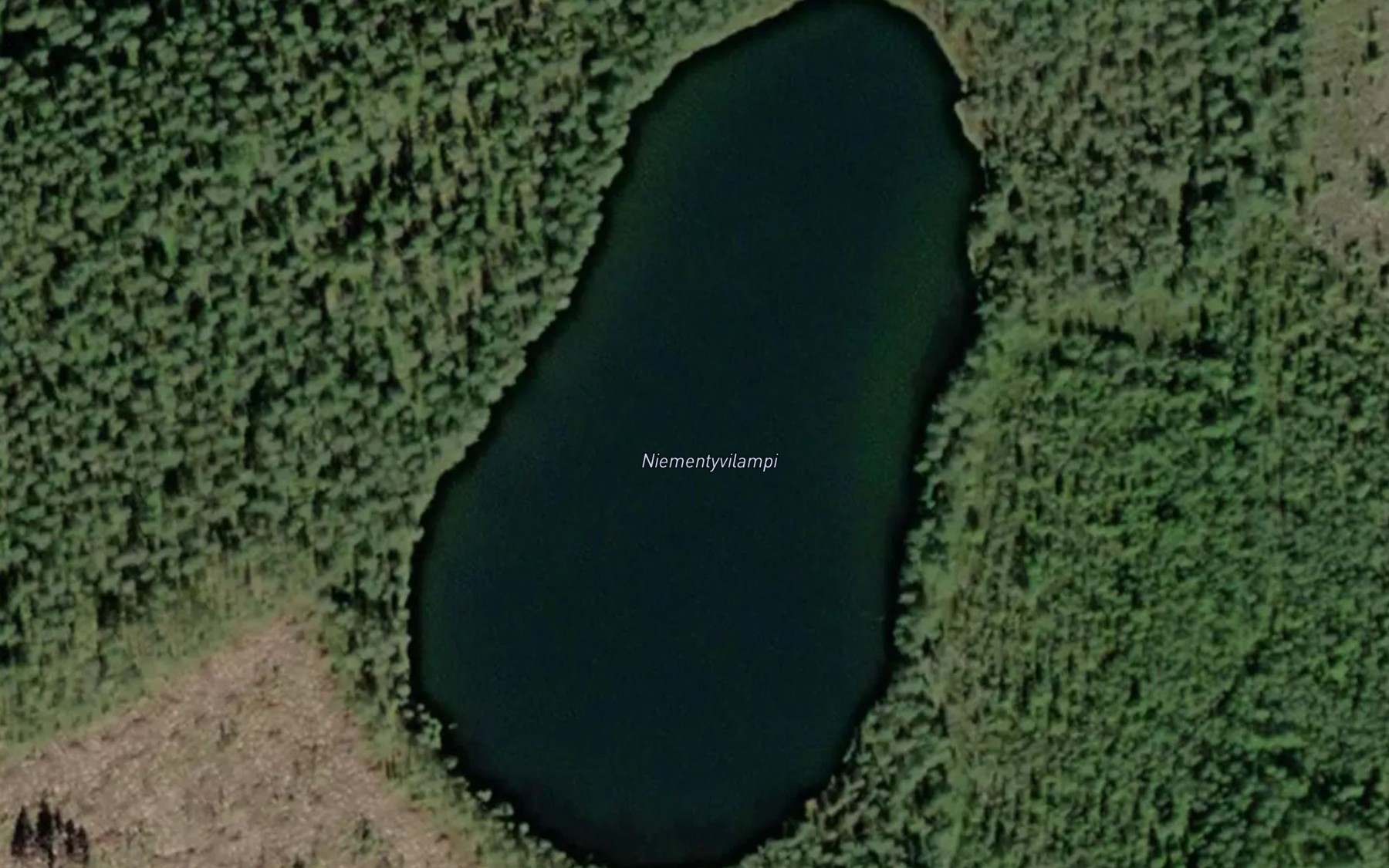 Satellite map of the Niementyvilampi