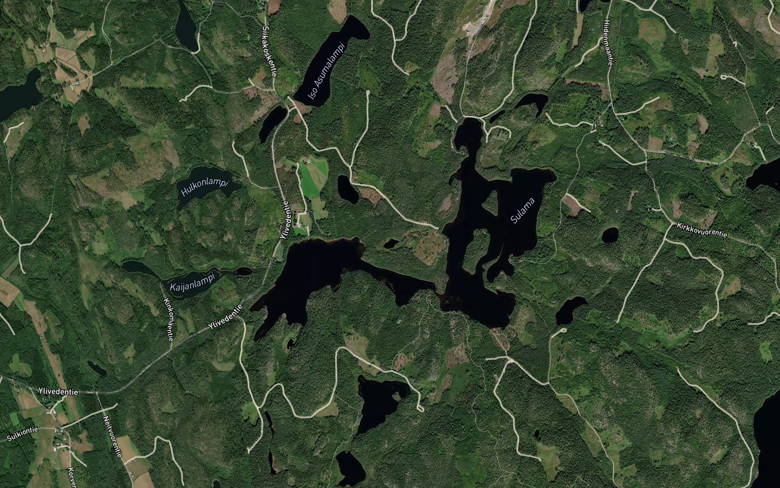 Niemenlampi