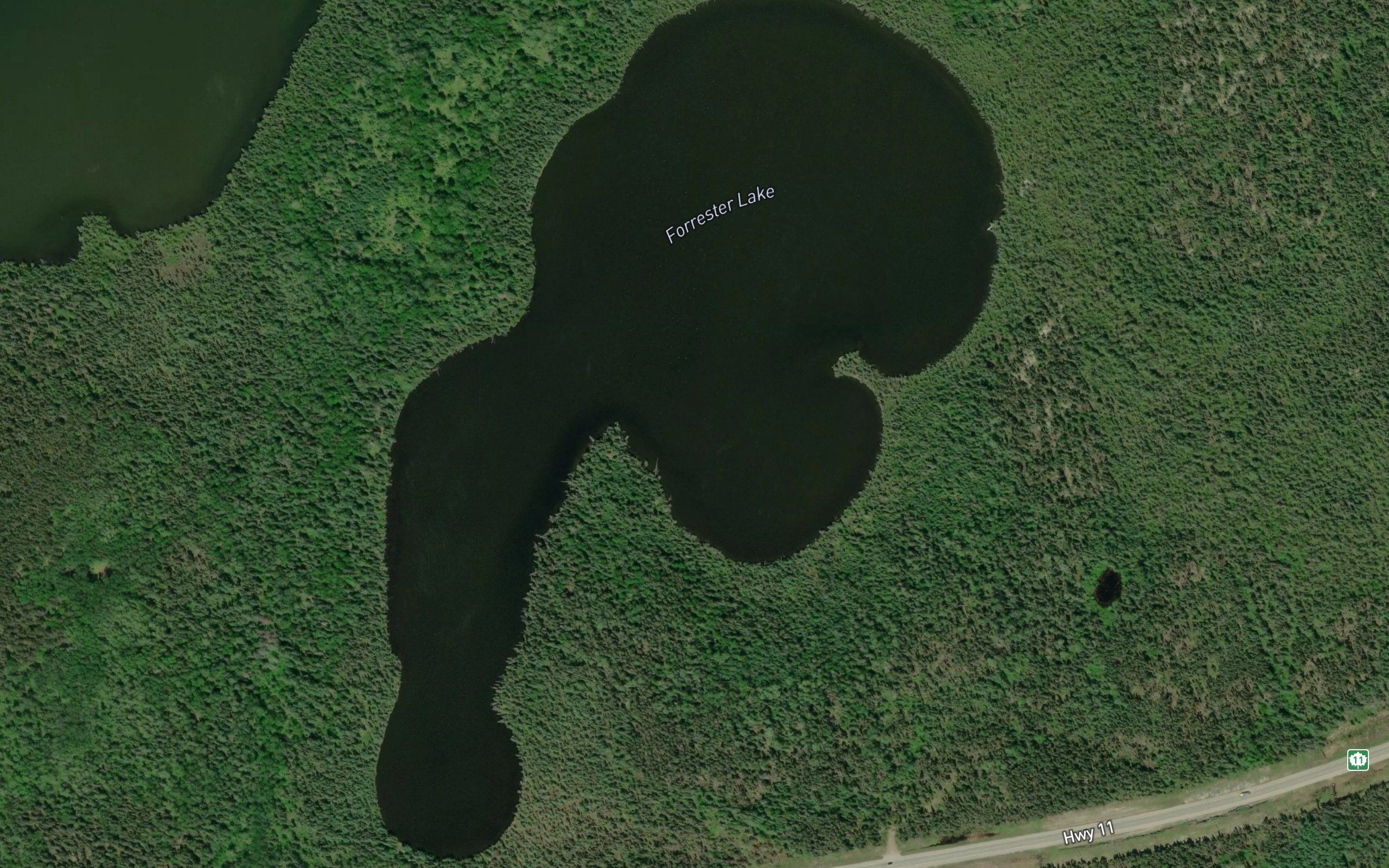 Forrester Lake