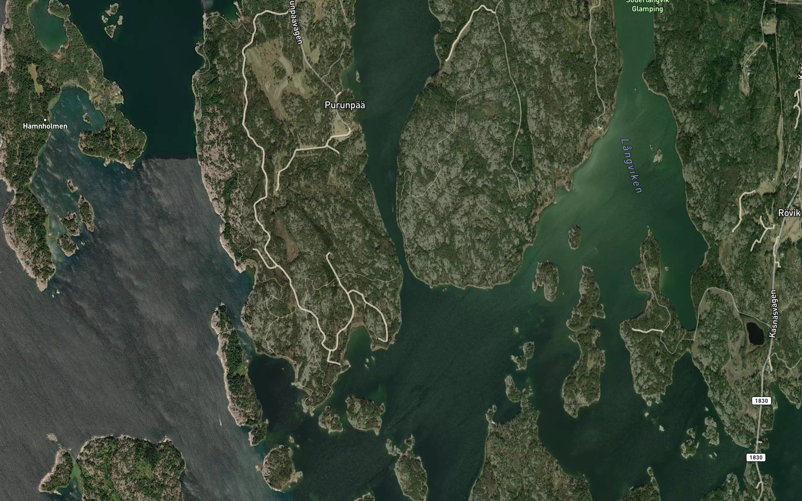 Vikminnet