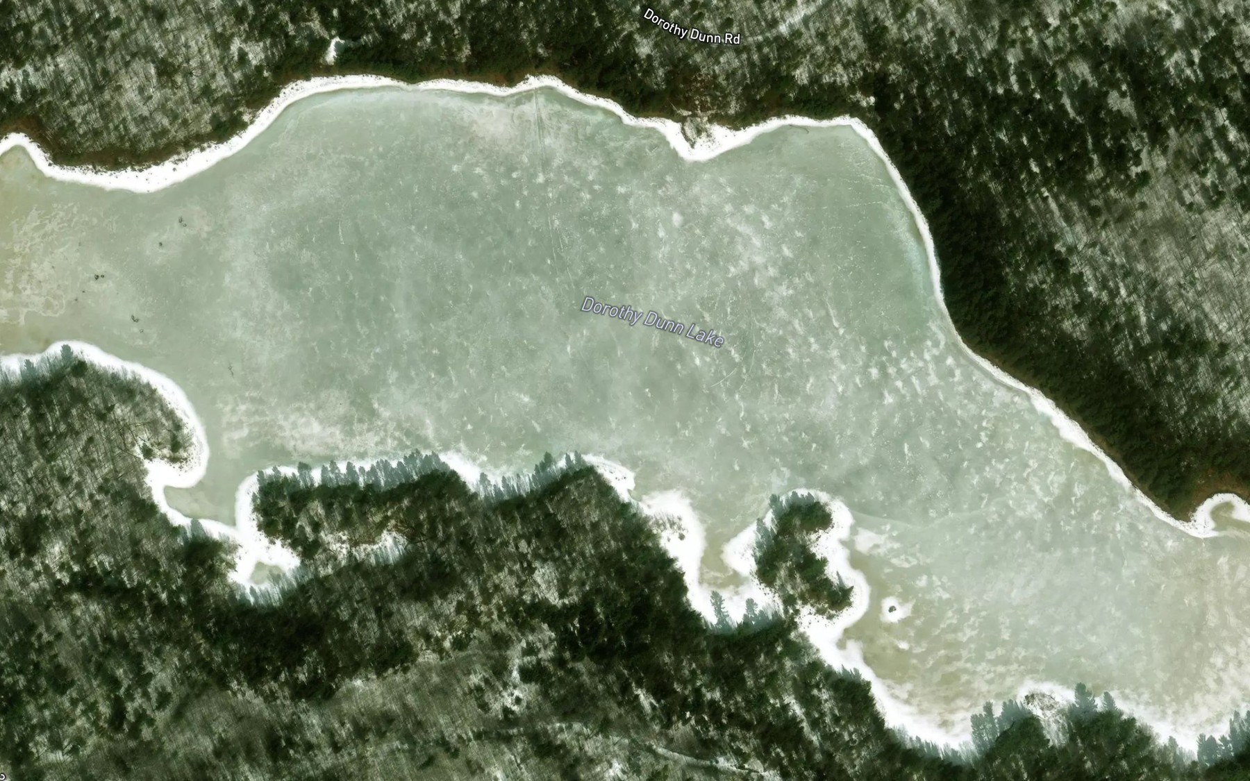 Satellite map of the Dorothy Dunn Lake