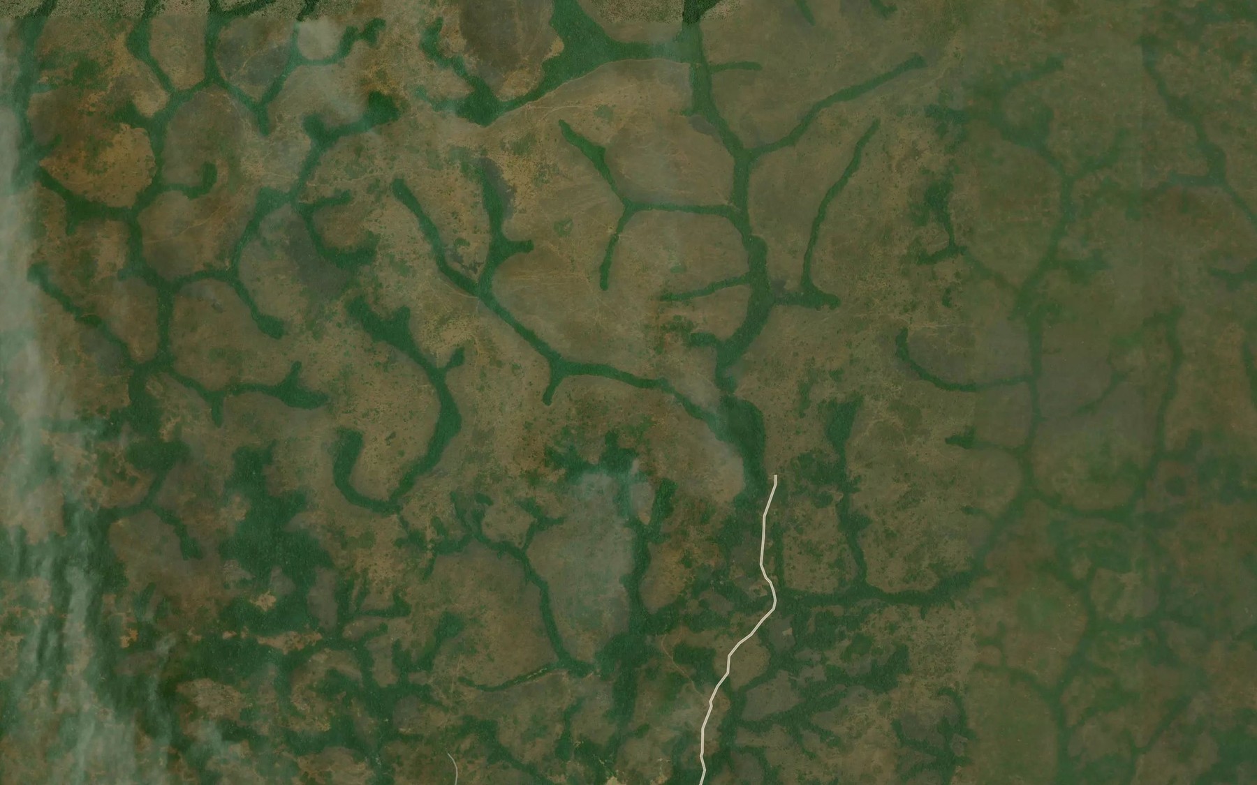 Satellite map of the Dimako