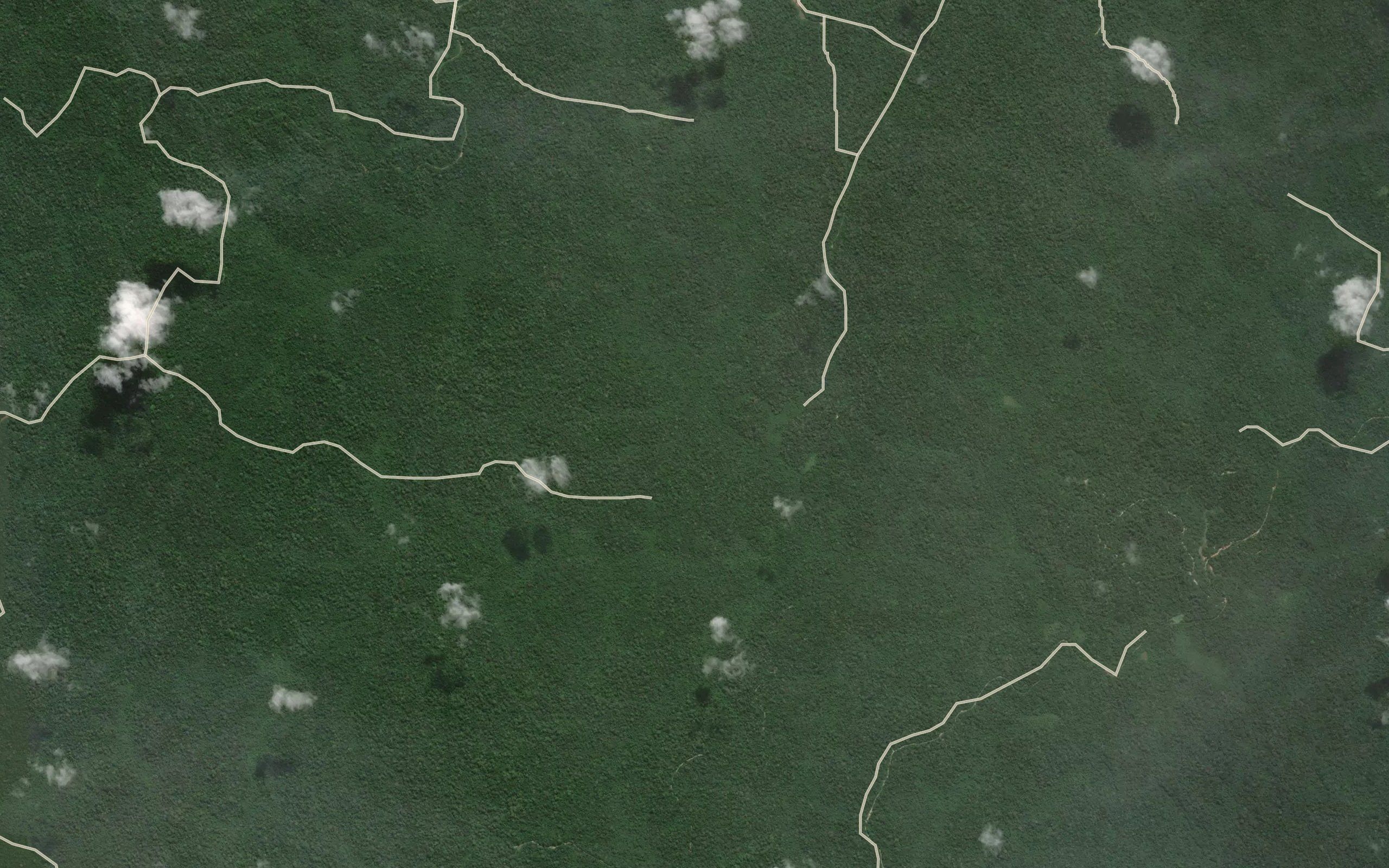 Dikamba