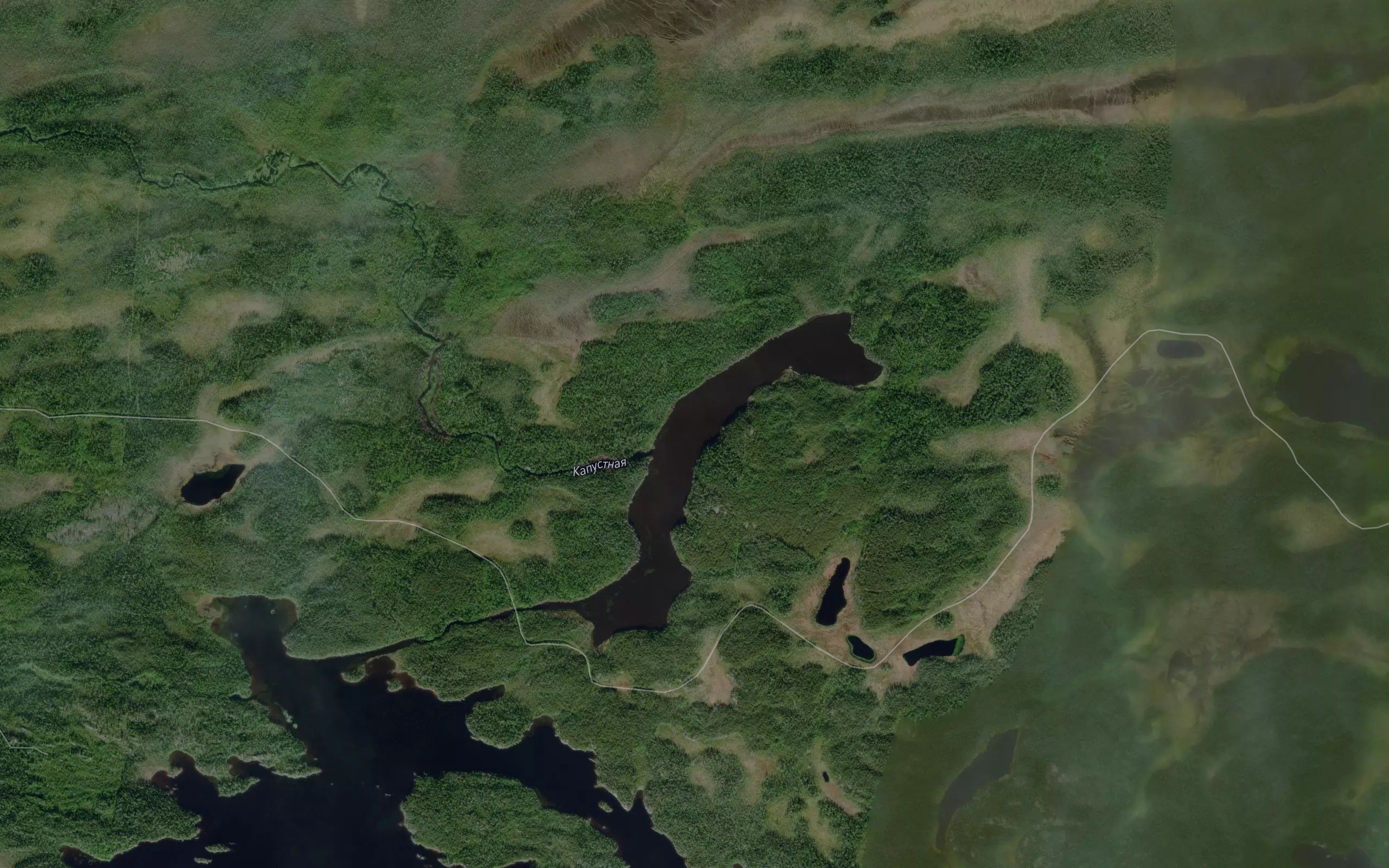 Kapustnaya