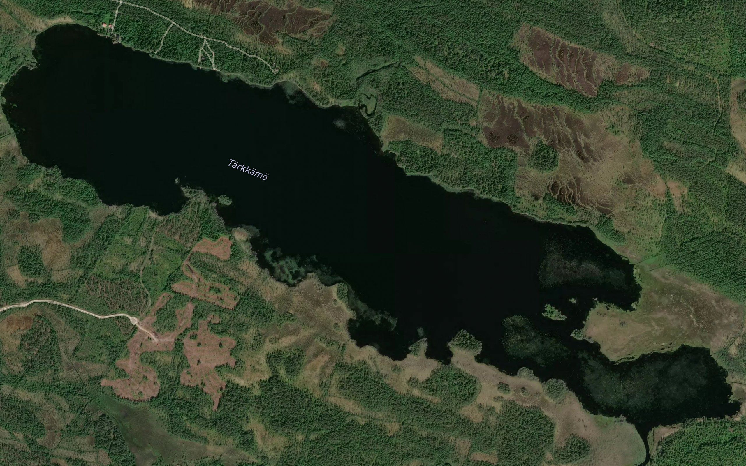 Tarkkamo