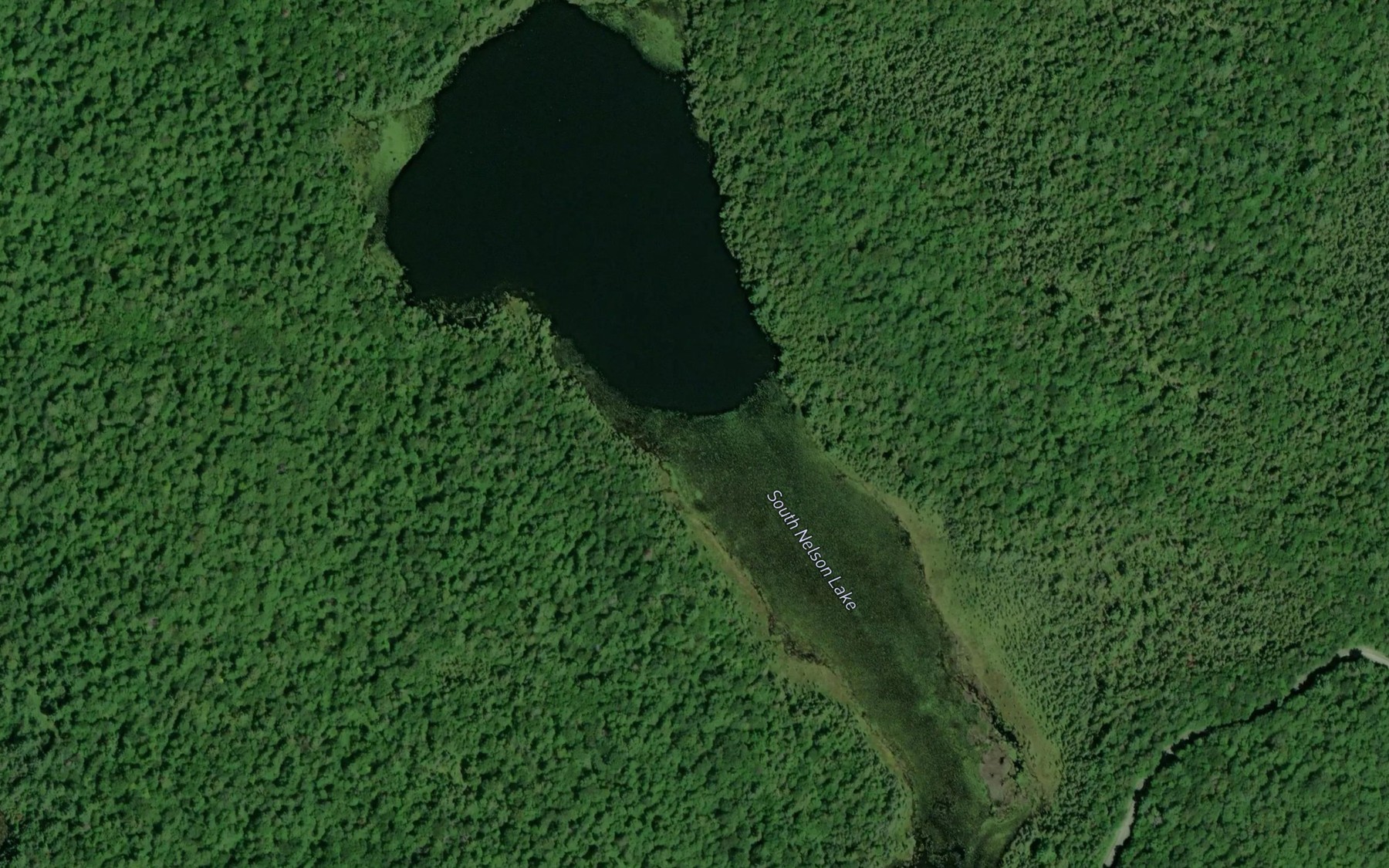 Satellite map of the South Nelson Lake