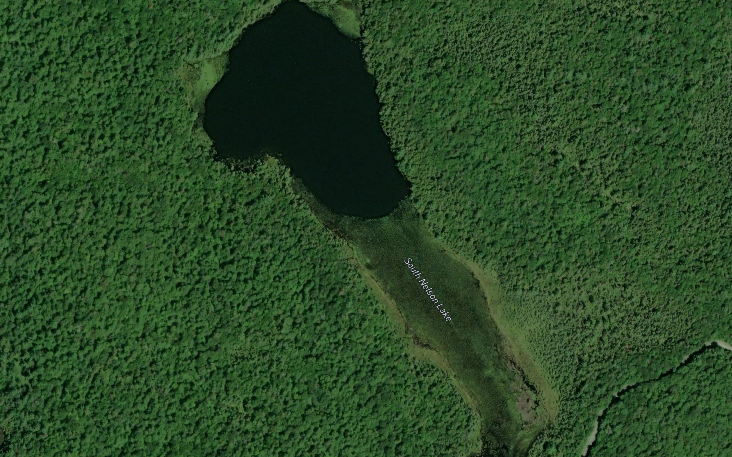 South Nelson Lake