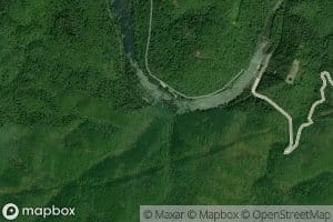 Lower Jobe Patch Branch