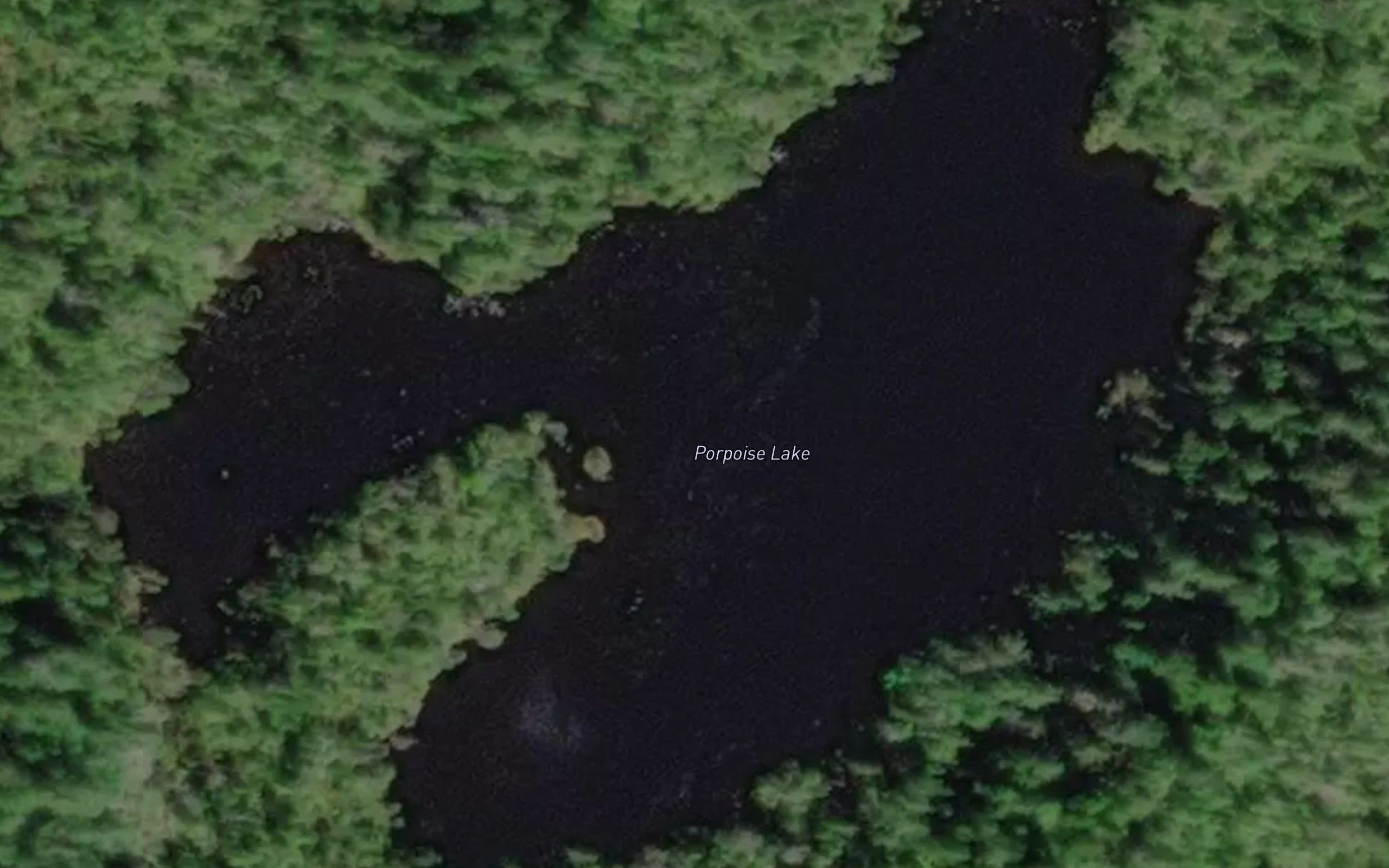 Porpoise Lake