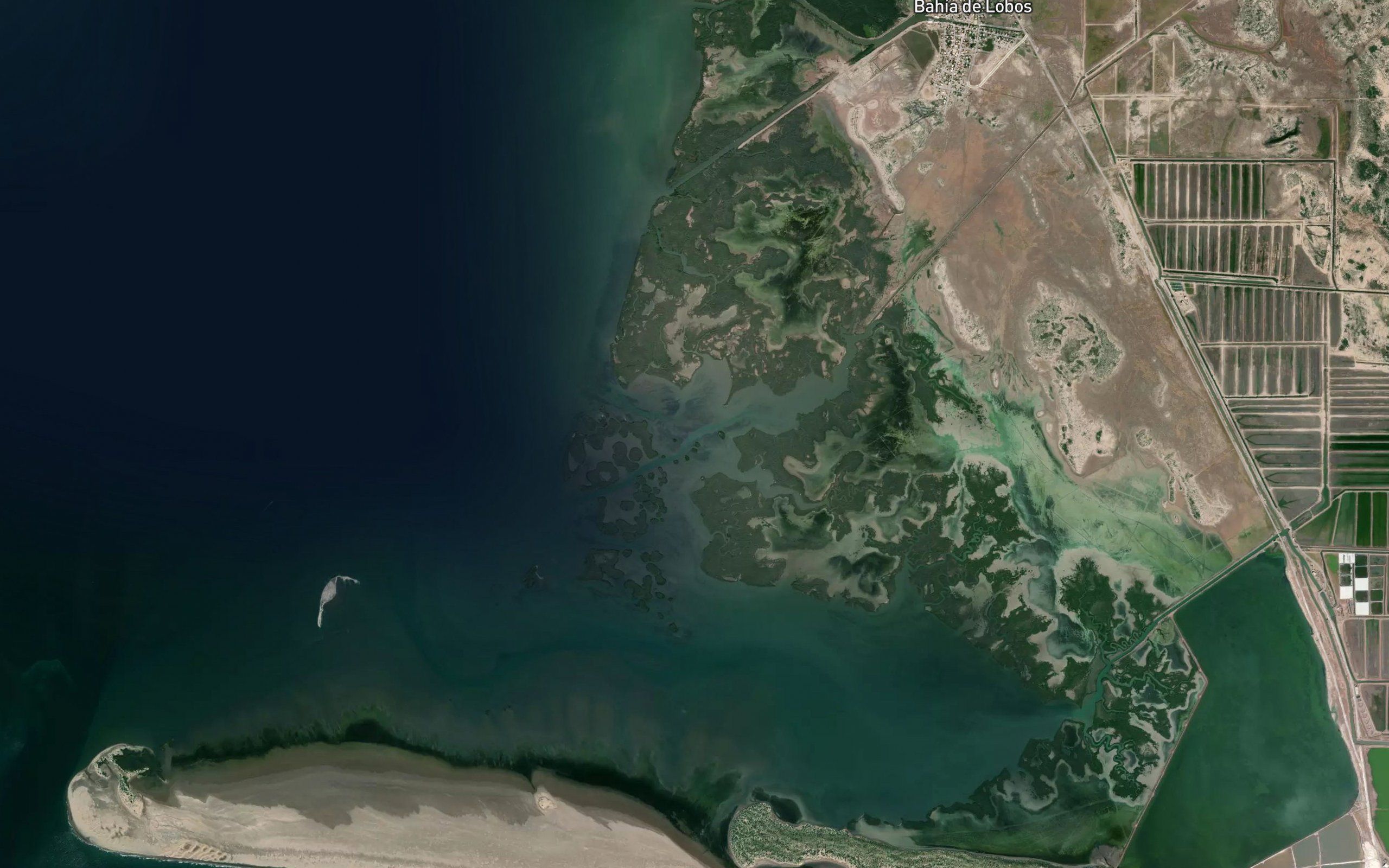 Estero el Mezquite