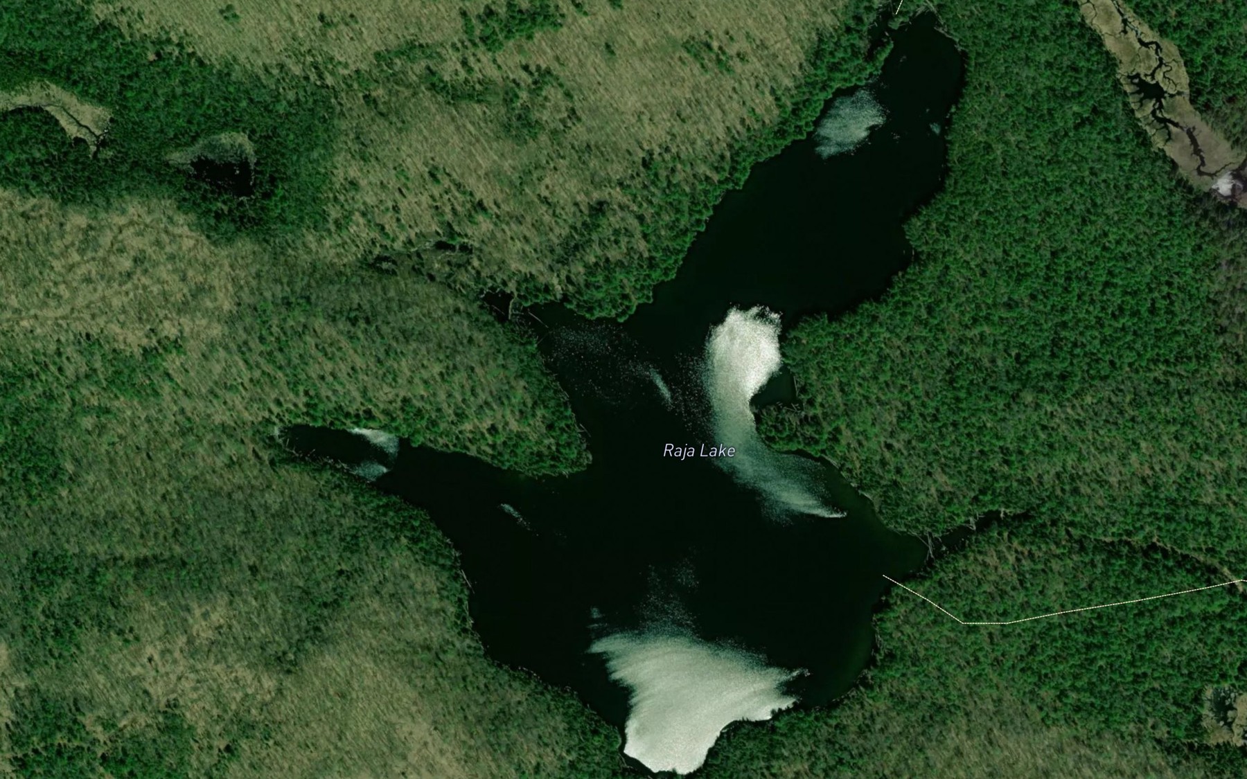 Satellite map of the Raja Lake