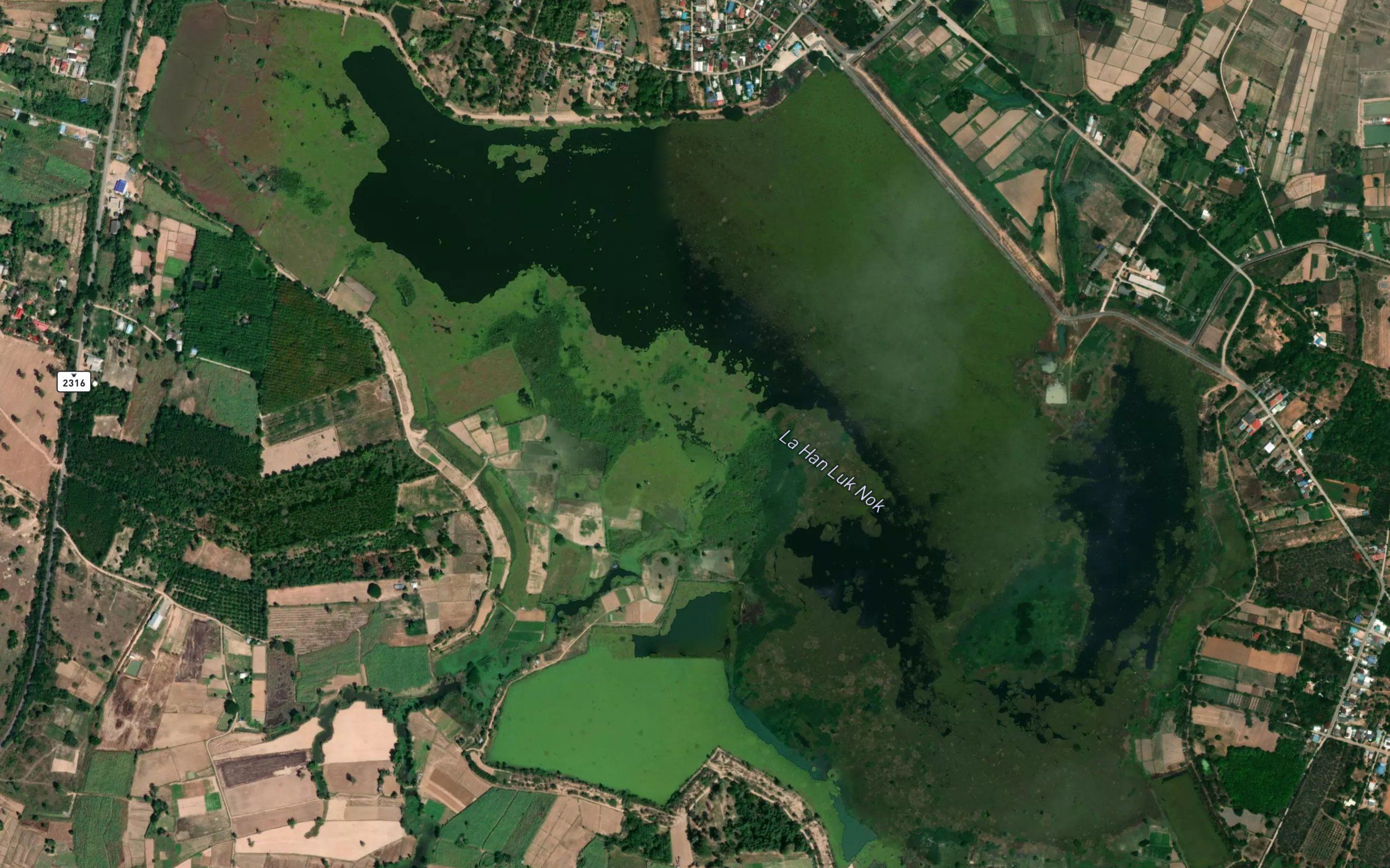 Ang Kep Nam Kut Lingngo