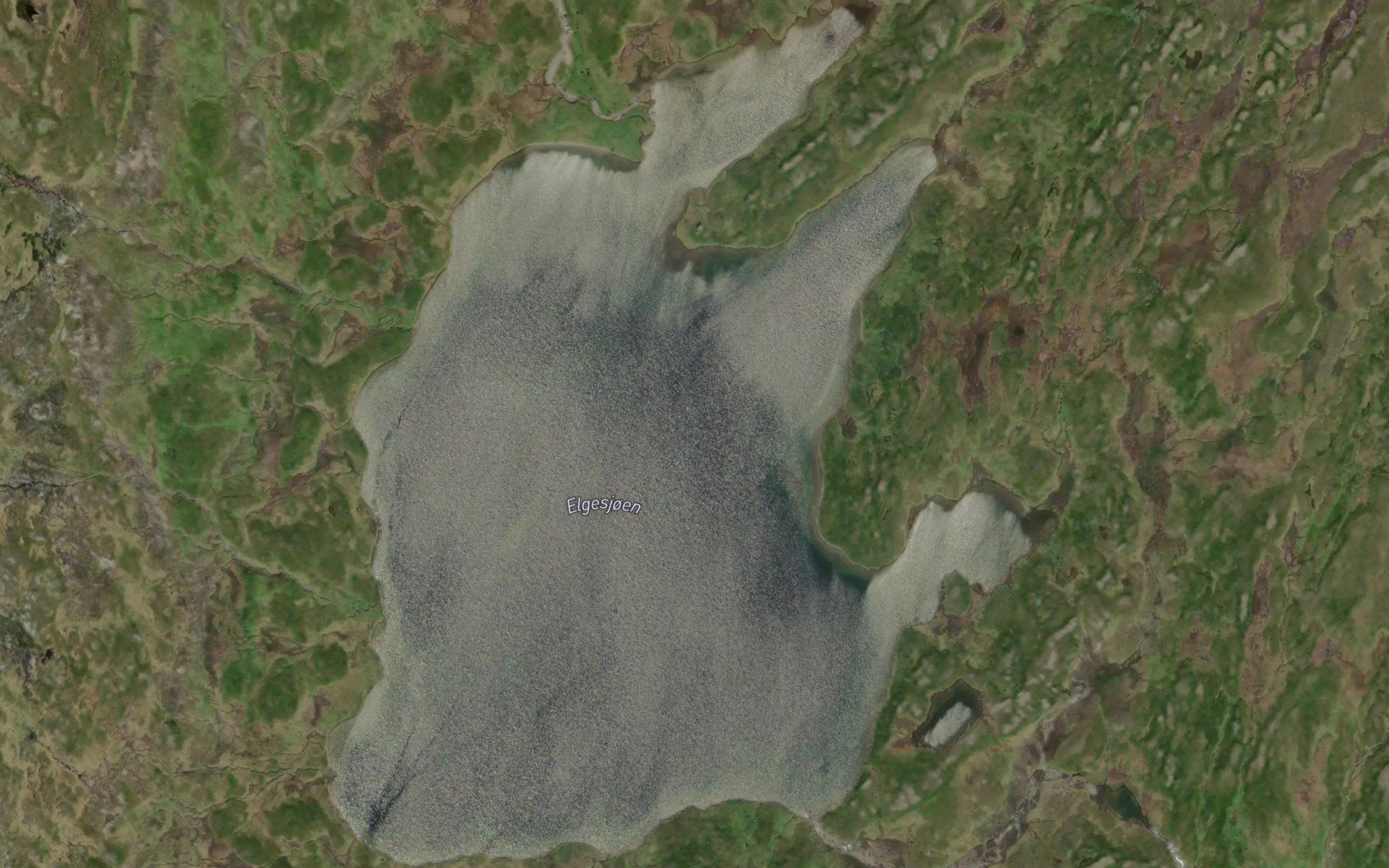 Elgesjoen