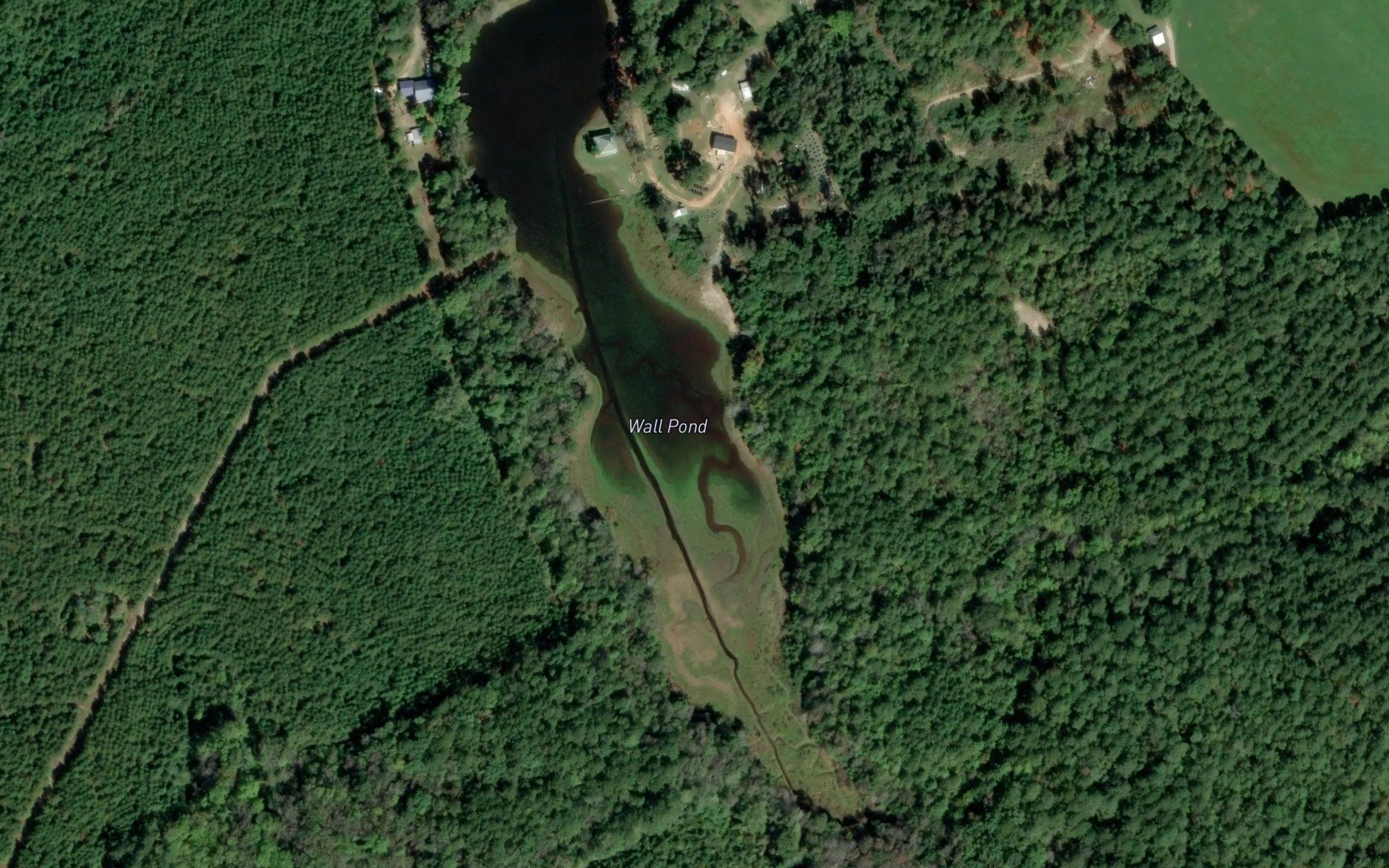 Wall Pond