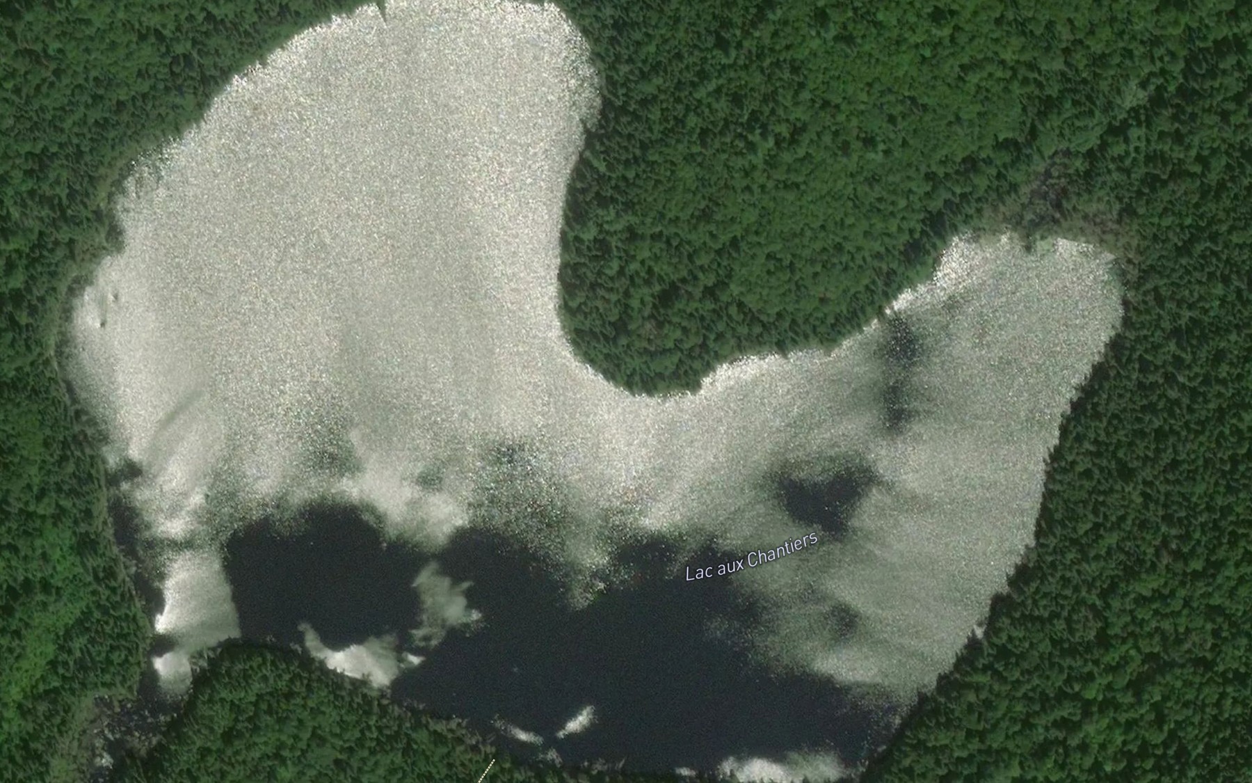 Satellite map of the Lac aux Chantiers