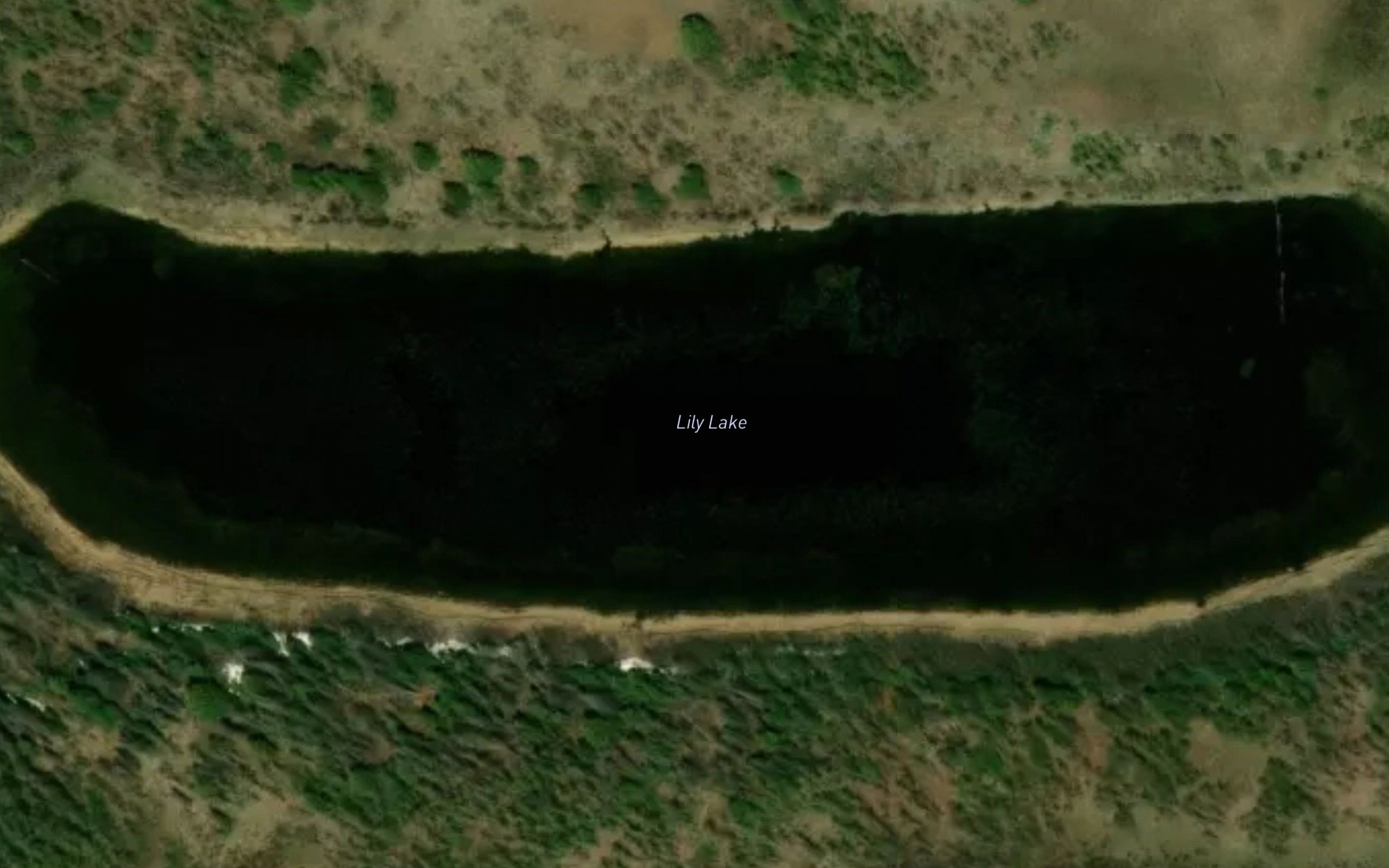 Lily Lake