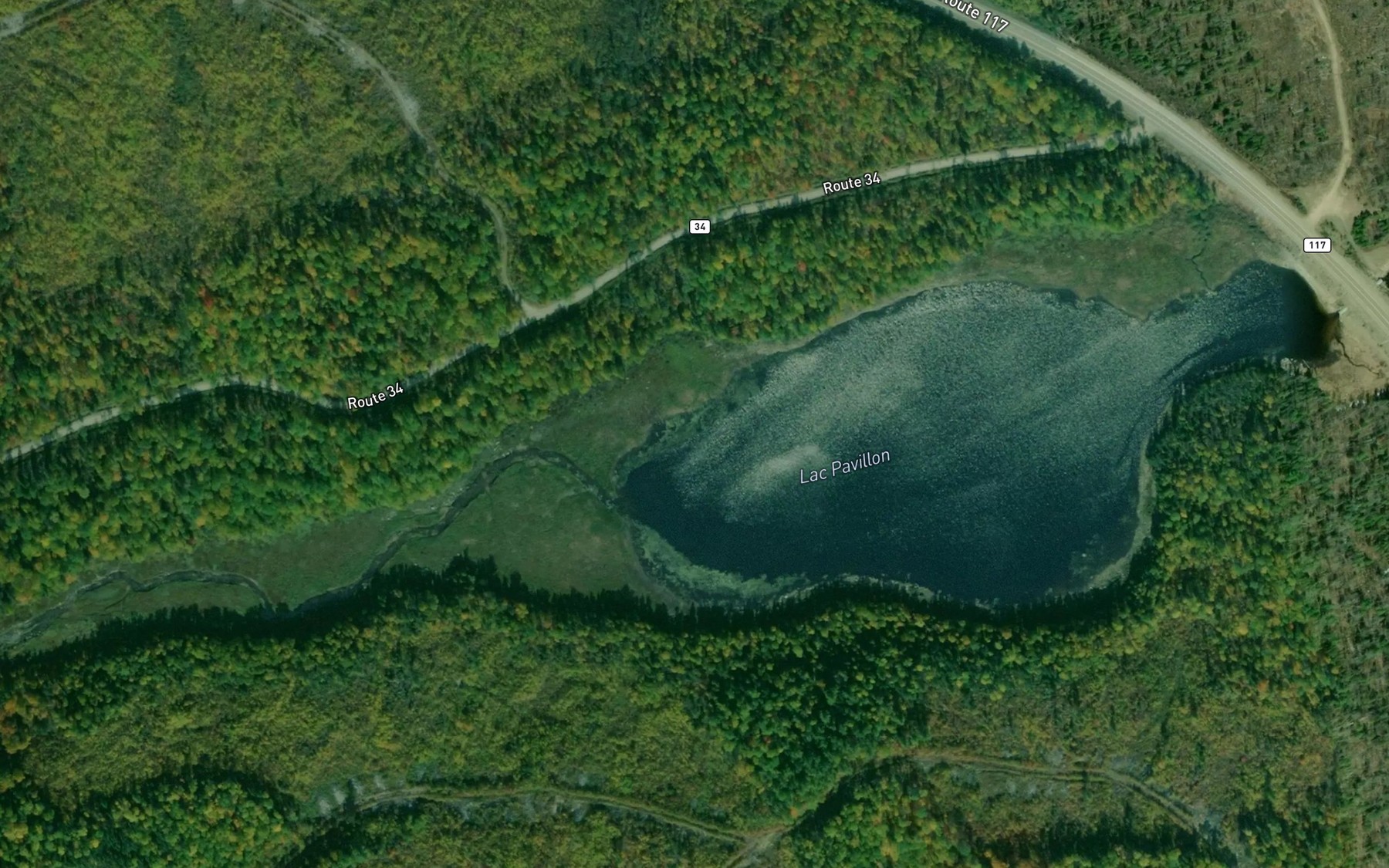 Satellite map of the Lac Pavillon