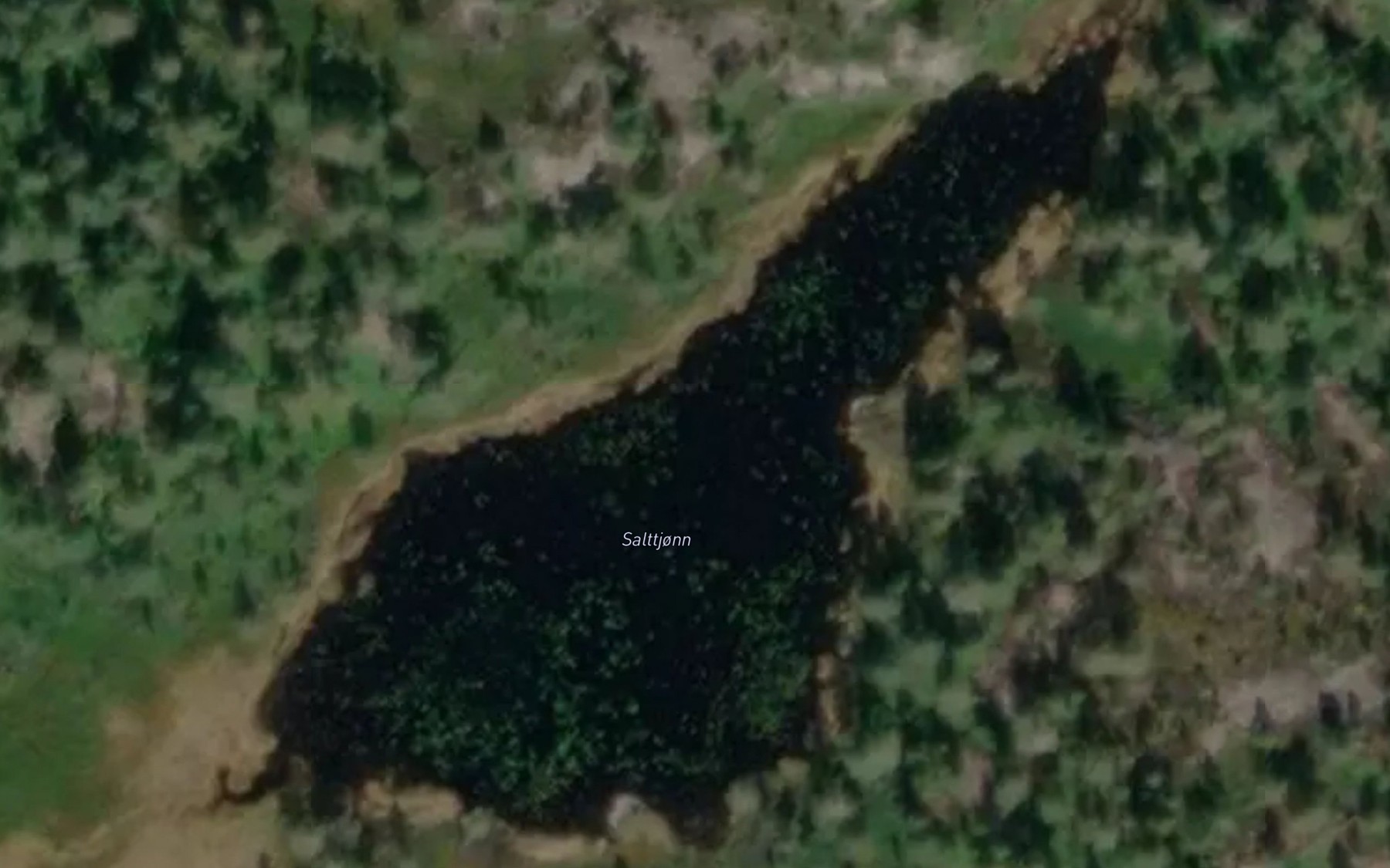 Satellite map of the Salttjonn