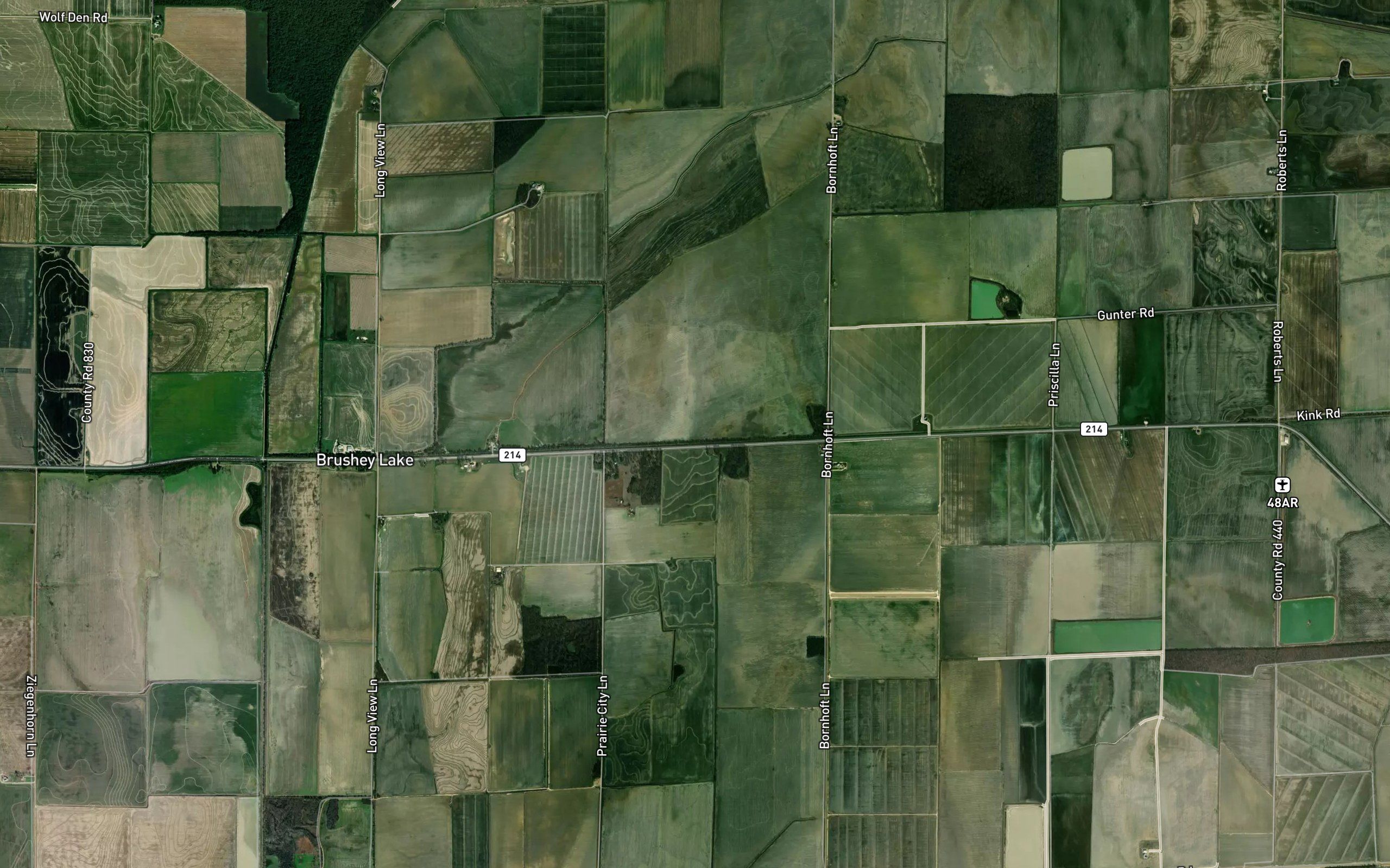 Ditch Number 15
