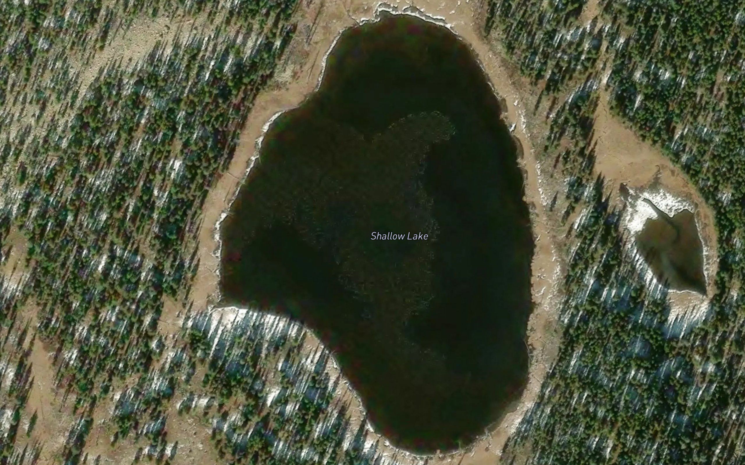 Shoestring Lake