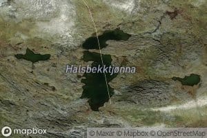 Halsbekktjonna