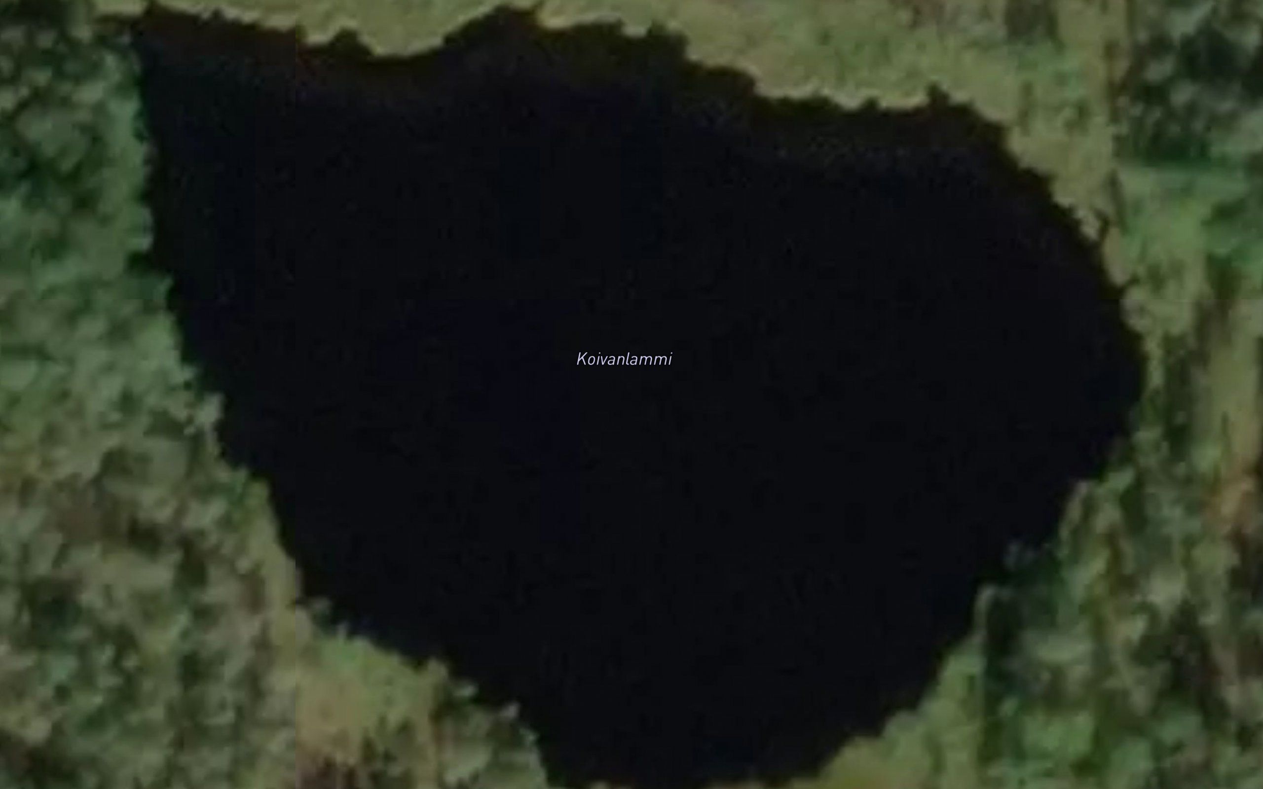 Koivanlammi