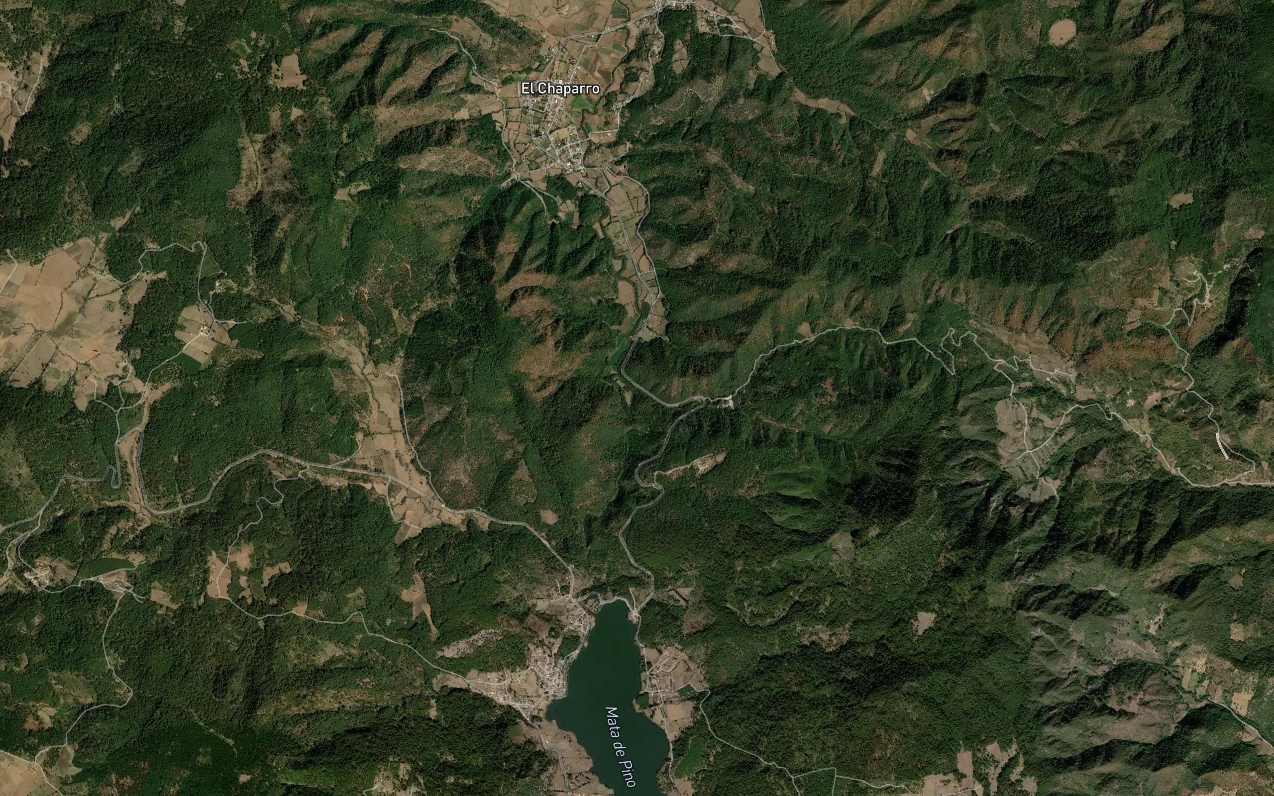 La Ortiguita