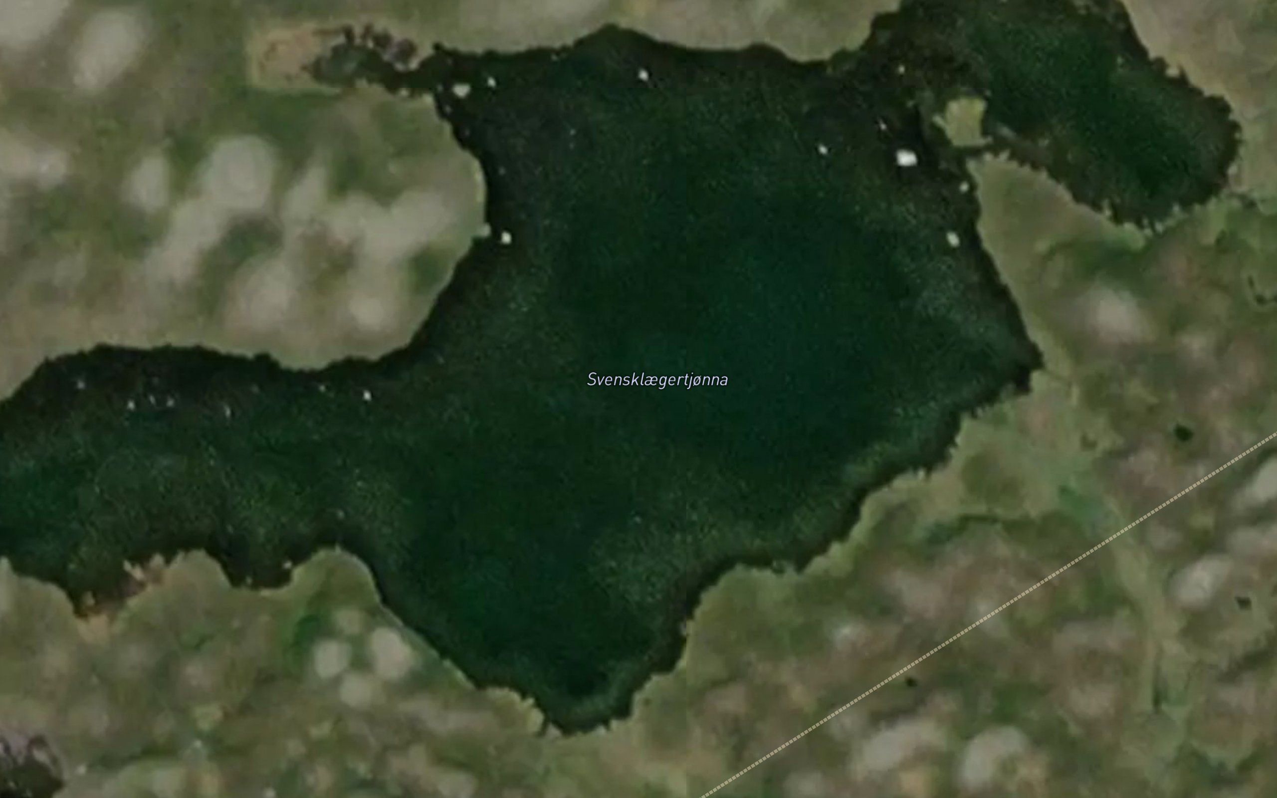Svensklaegertjonna