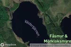 Vastertjarn