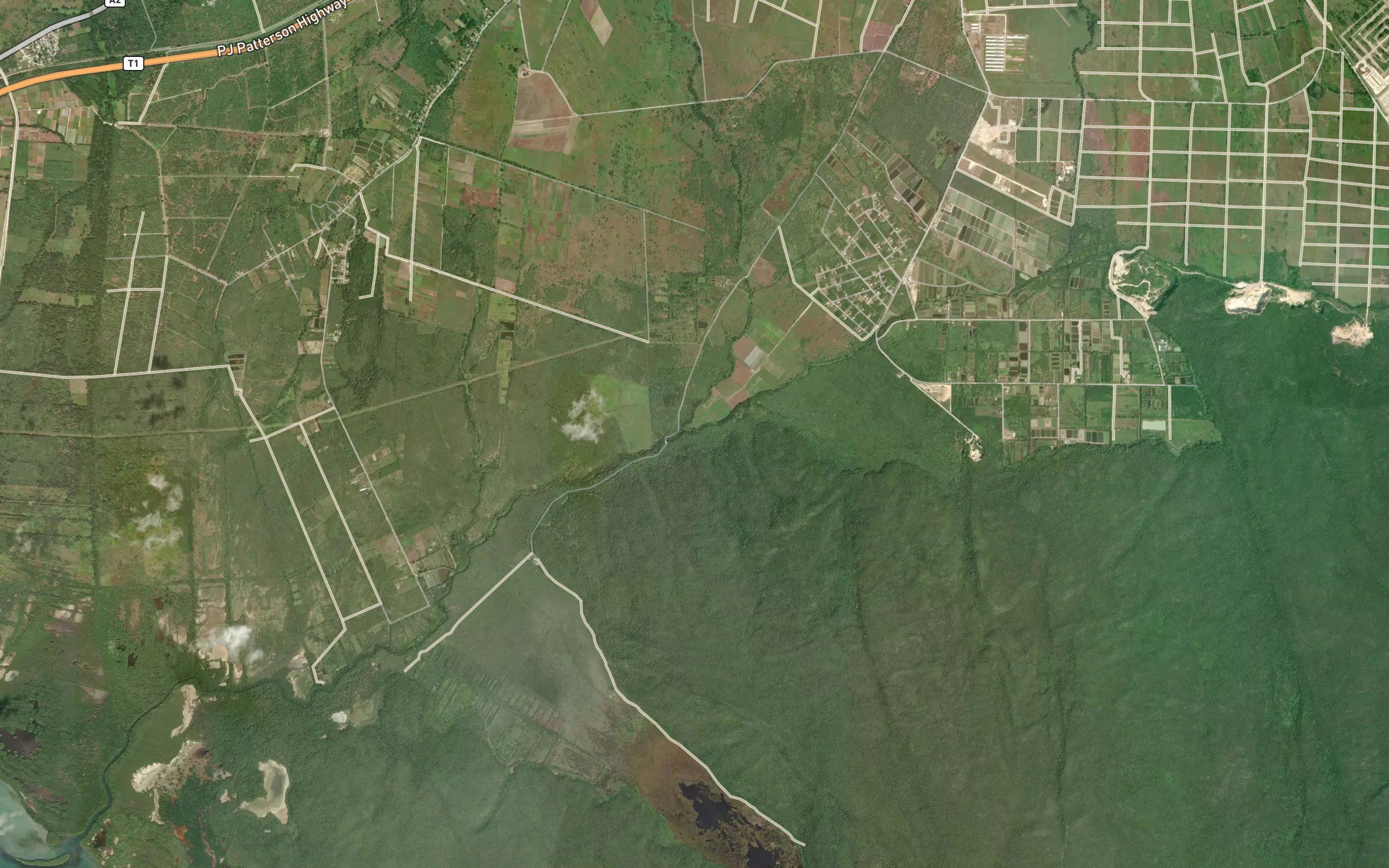 The Town Gully