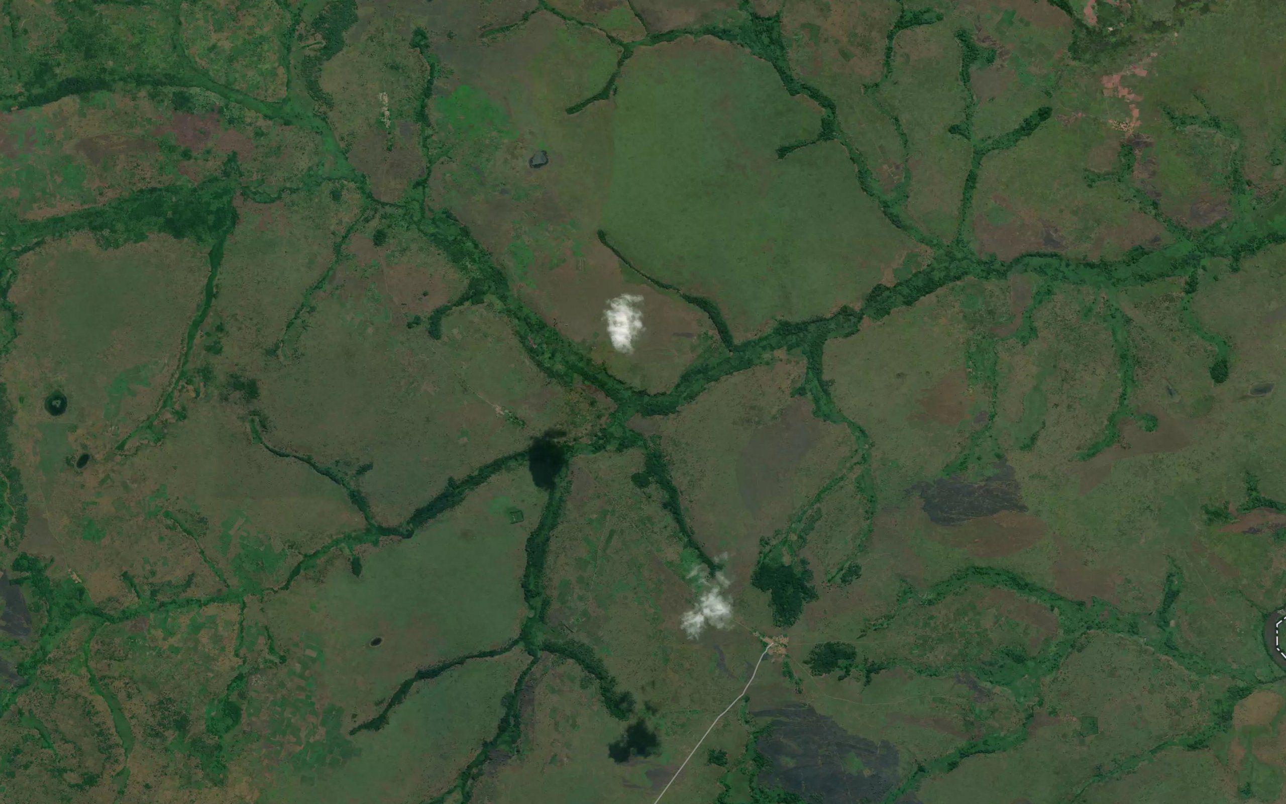 Lukuba
