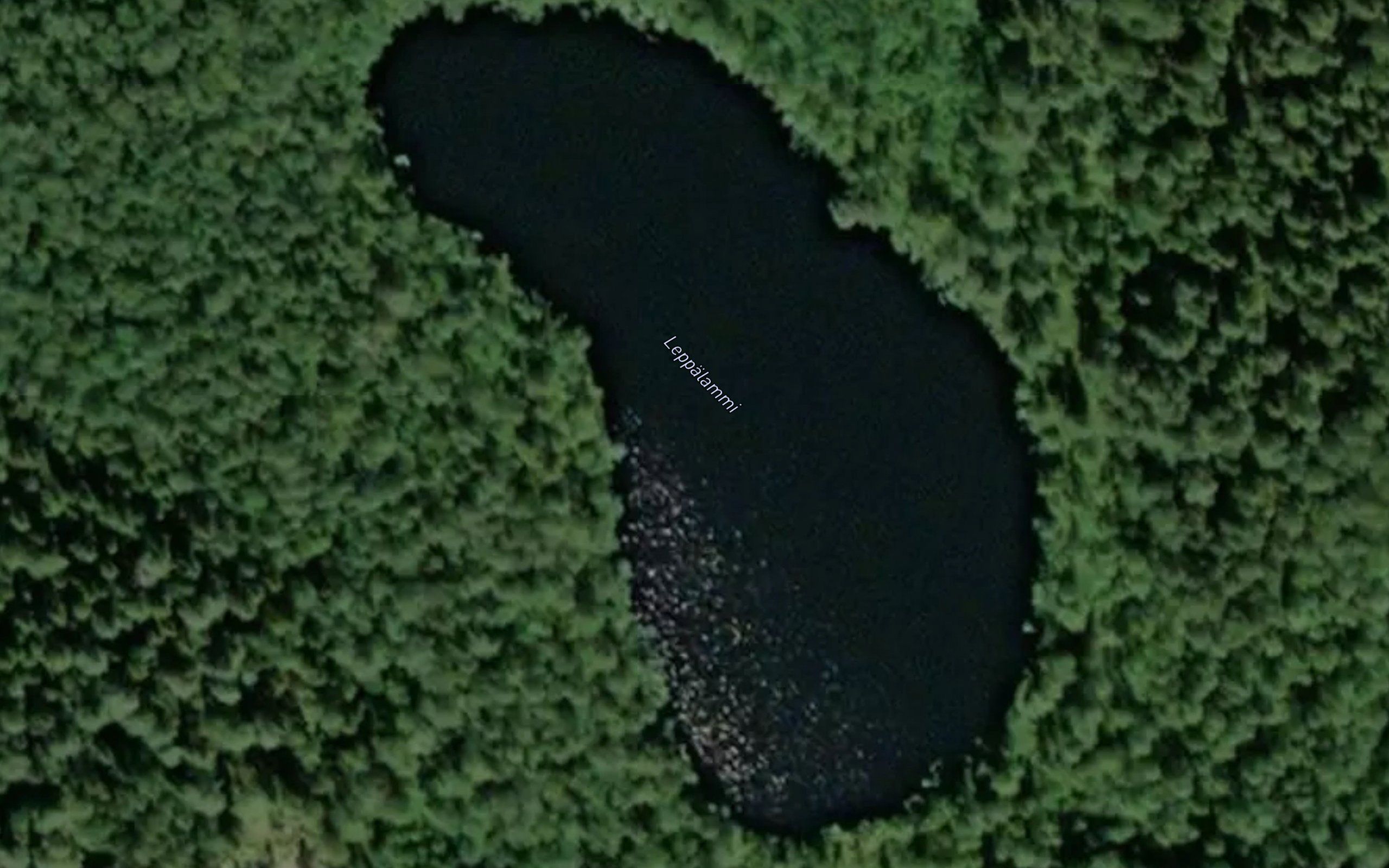 Leppalammi