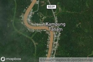 Tanjung Tran