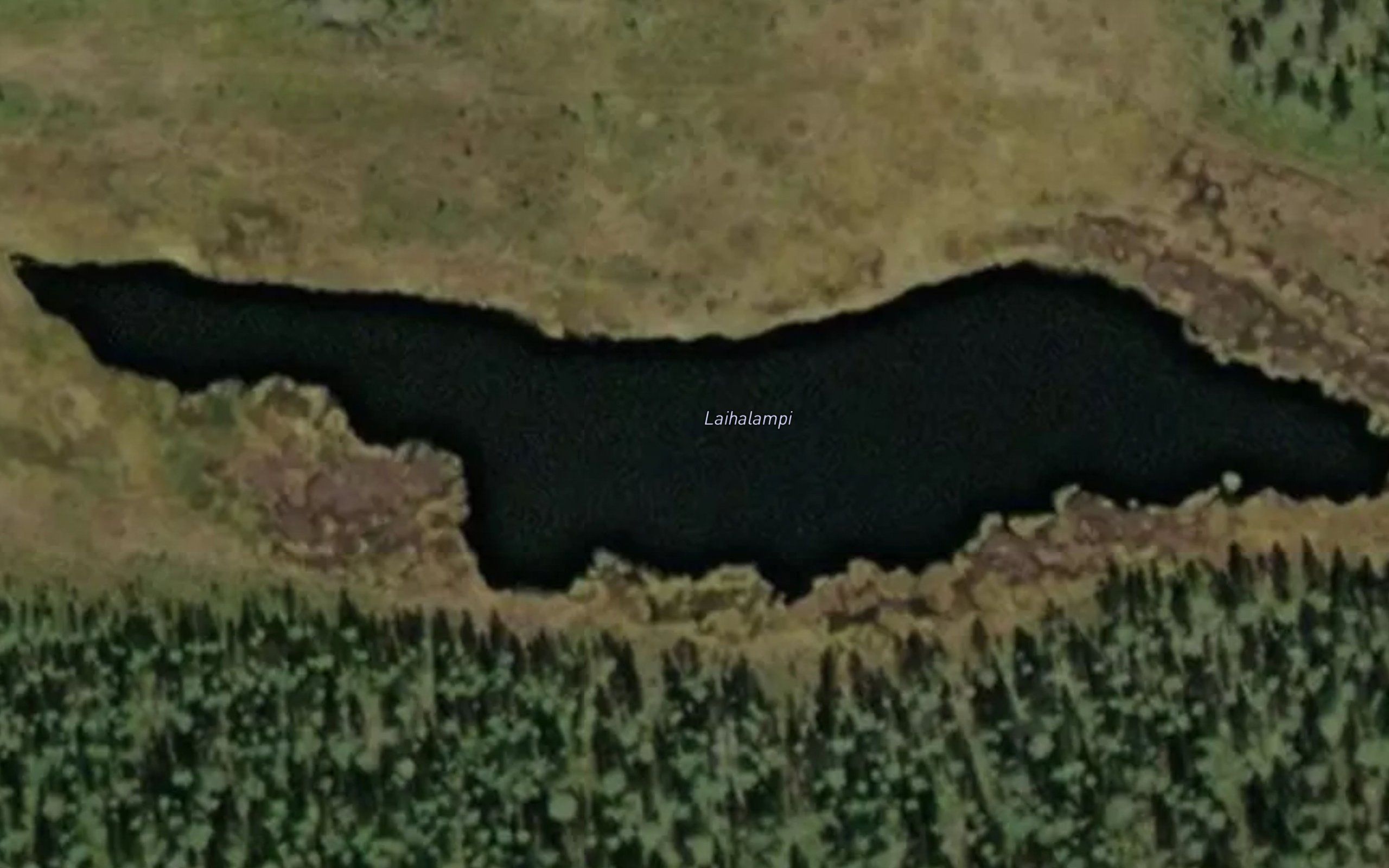 Laihalampi